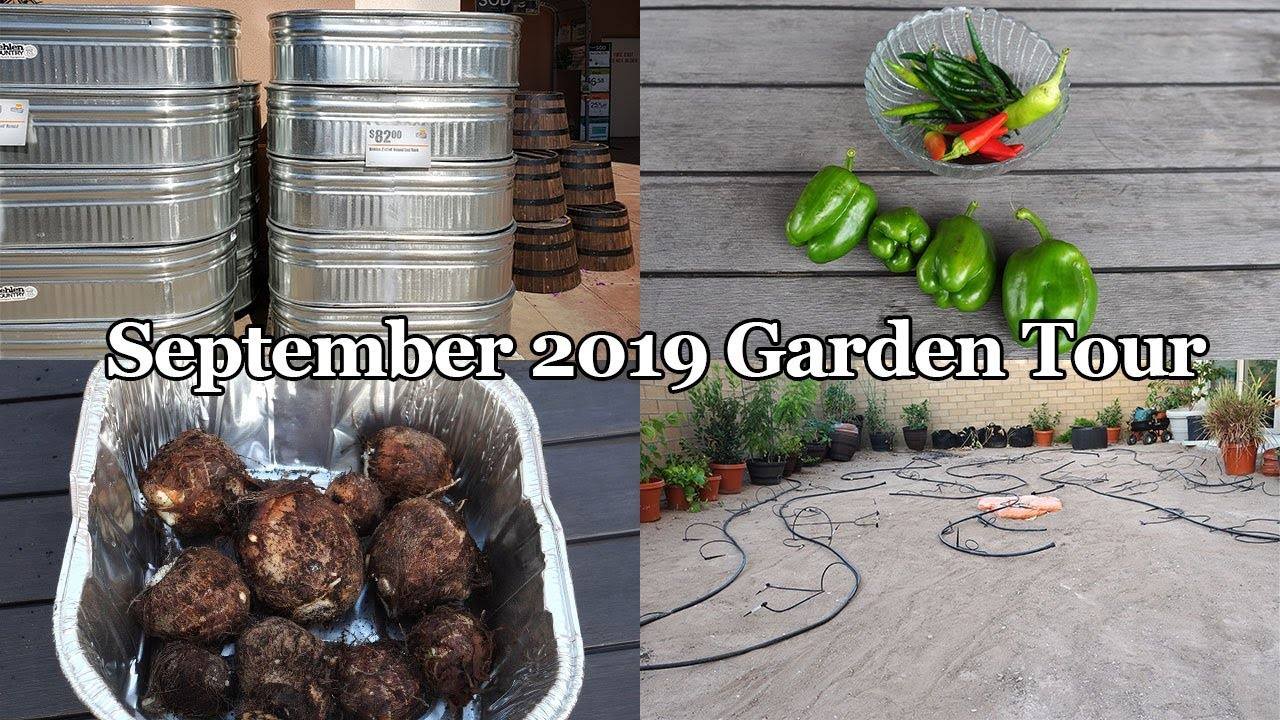 September 2019 Garden Tour: A Vibrant Showcase of California Gardening in Irvine