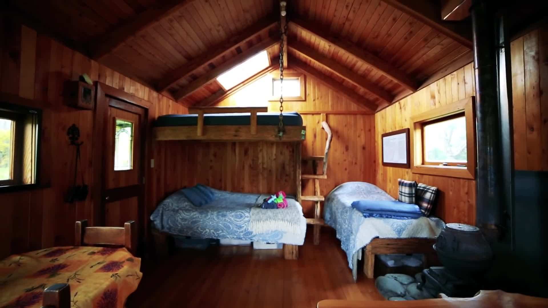 A glimpse of the ancient forests and diverse landscapes within the park