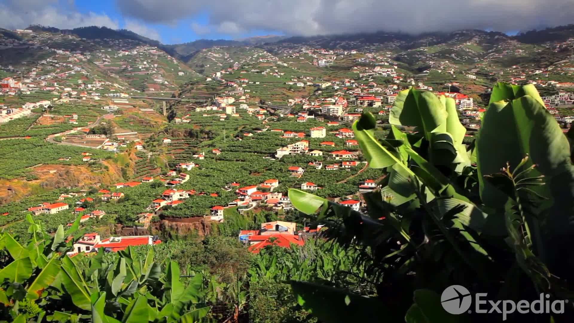 Colorful market of Mercado dos Lavradores