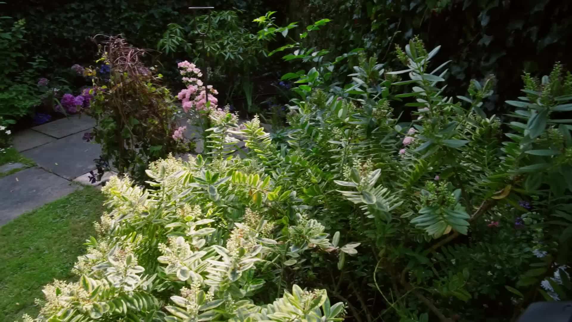 Antique Mirrors in the Living Room