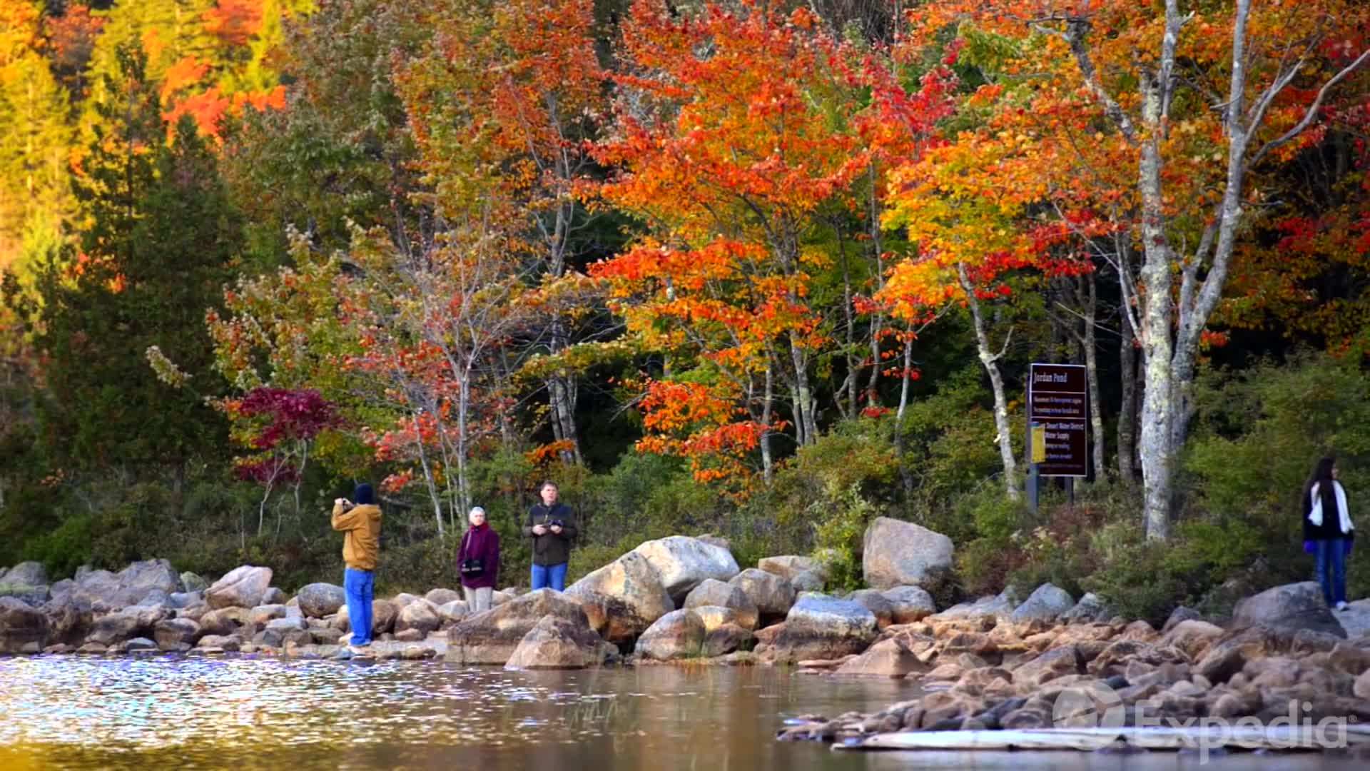 Fall Foliage in Acadia National Park