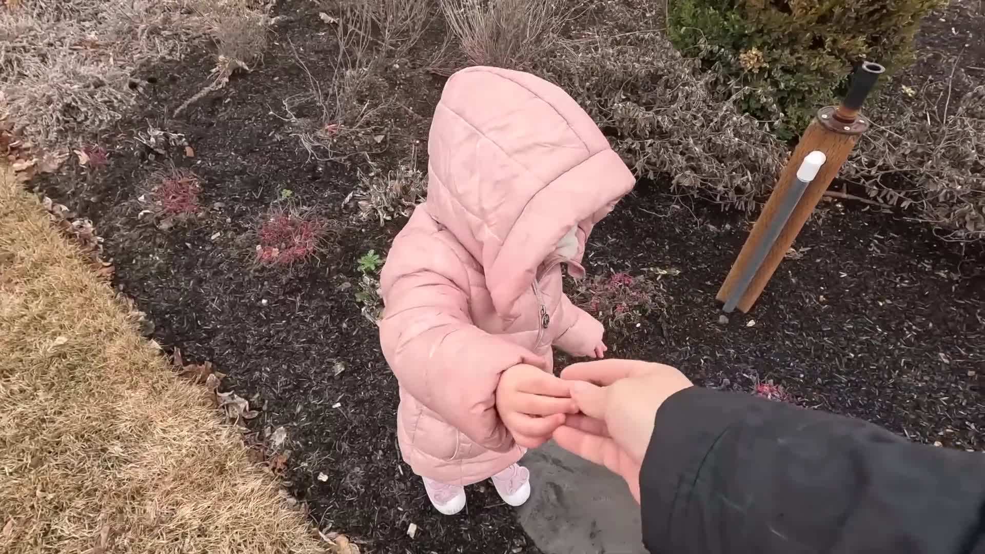 Cleaning out dead leaves and weeds from a flower bed