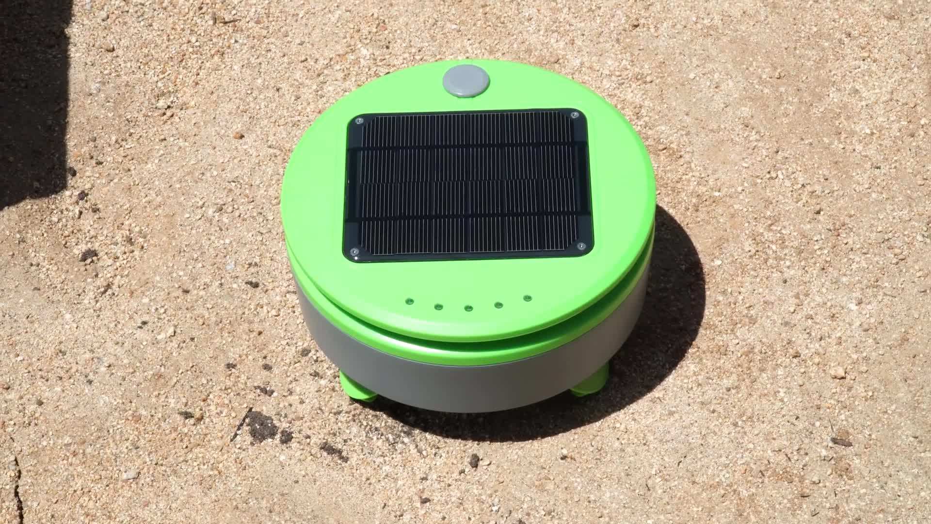 Tertill patrolling a garden bed