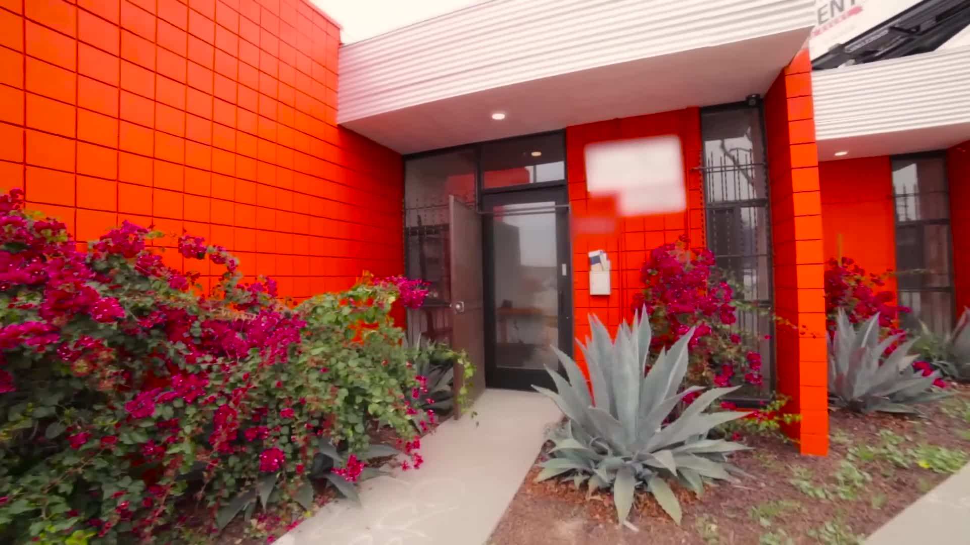 Pink Paint Transformation