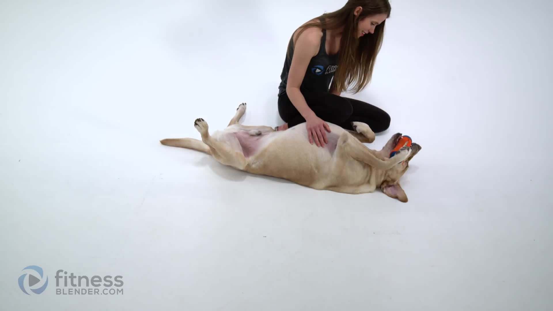 Loki, the FitnessBlender Mascot