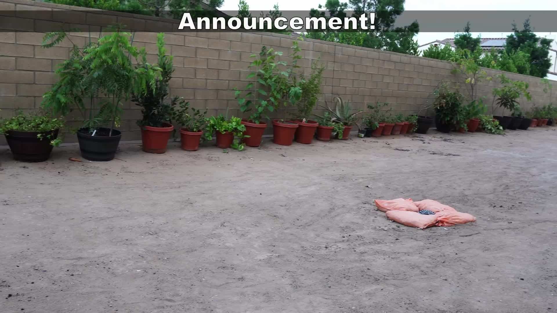 Bigger and Better Garden