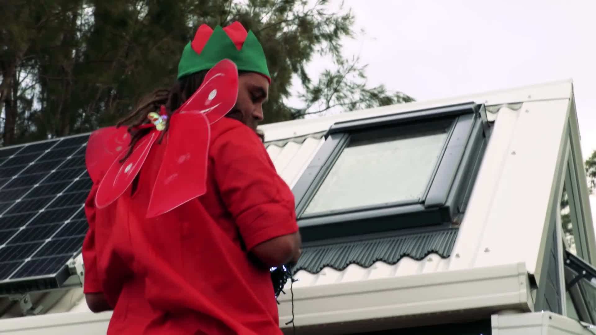 Decorated Christmas Tree