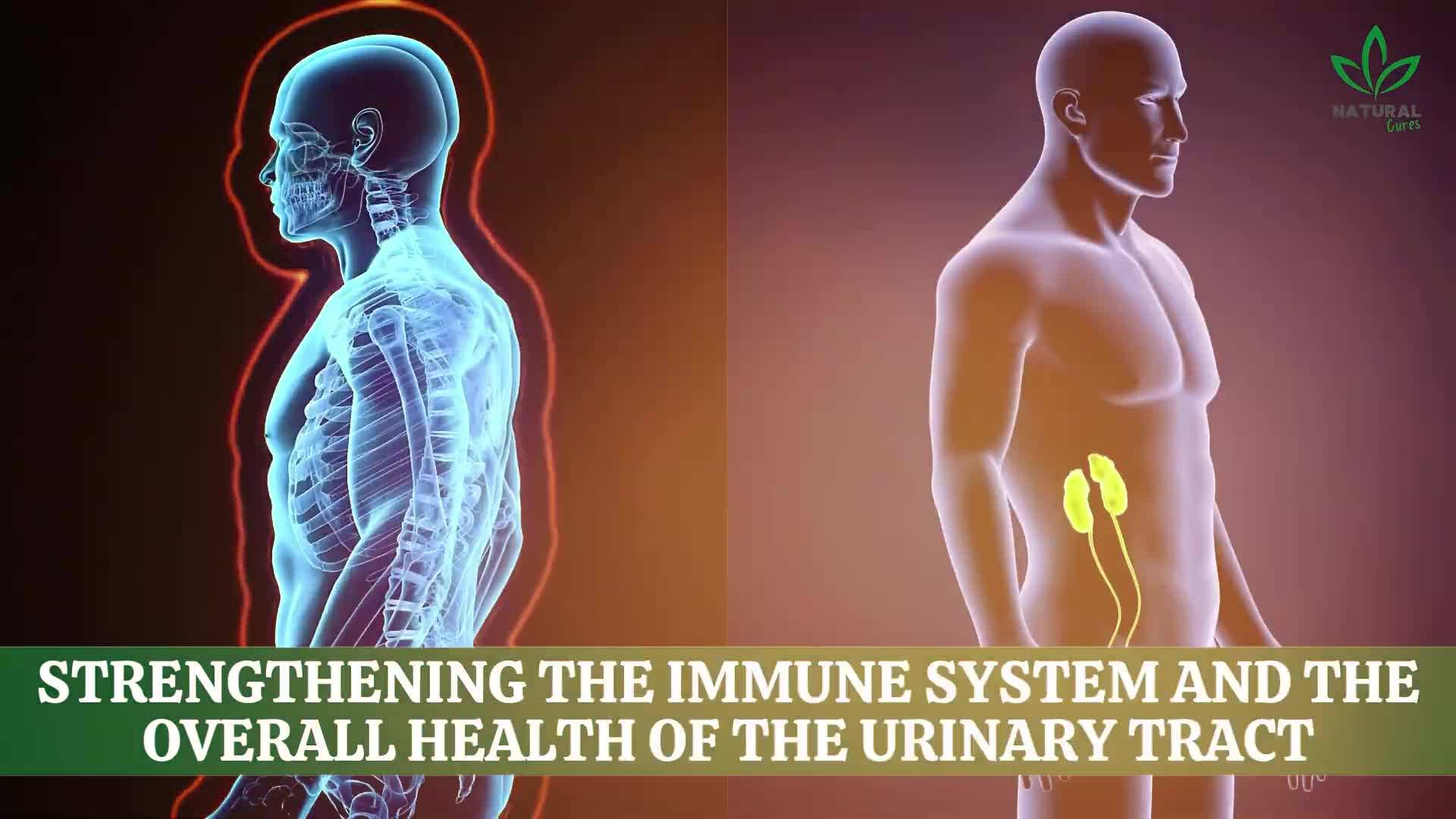 Diagram showing common symptoms of UTIs