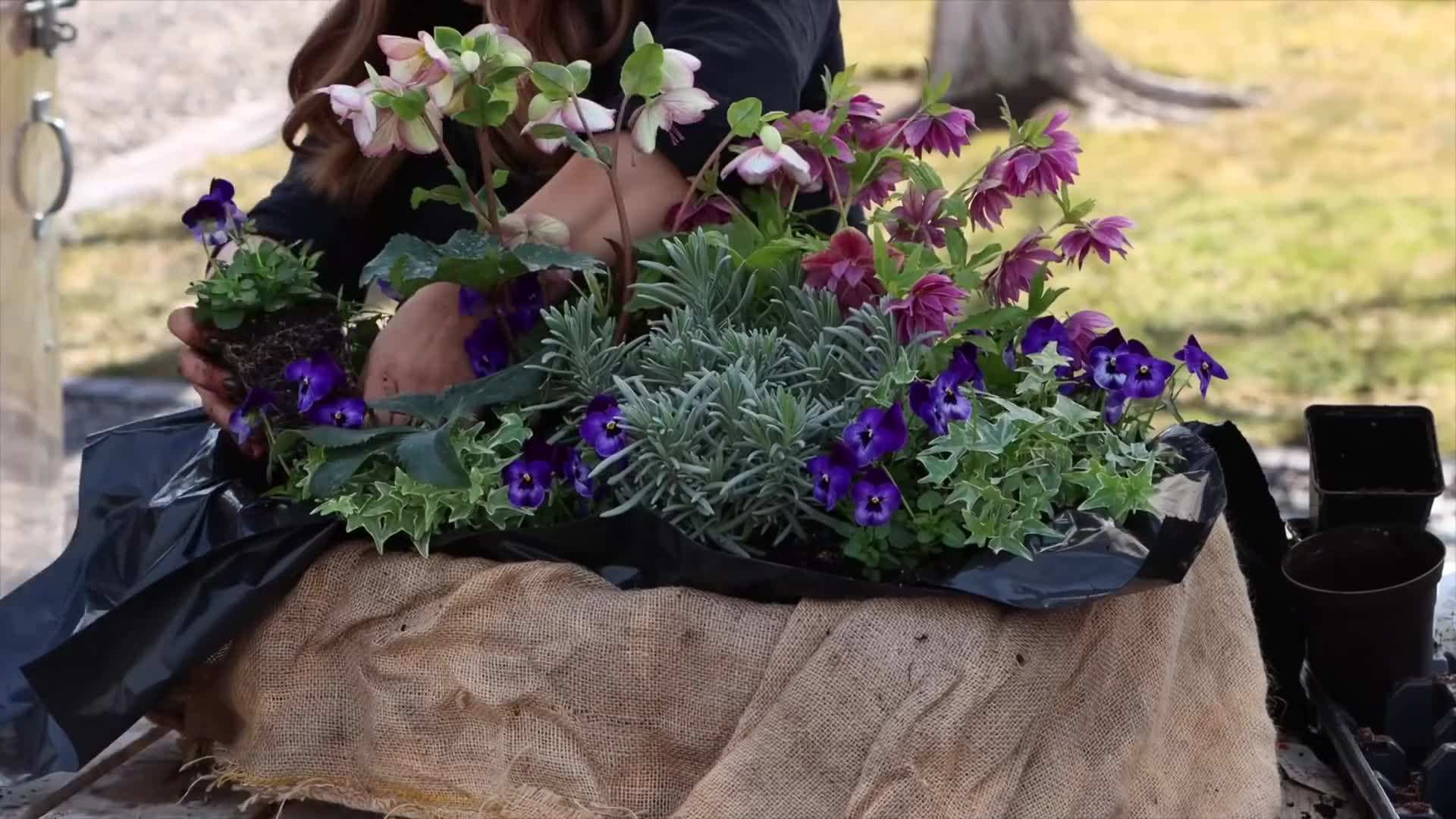 Applying liquid fertilizer to the basket