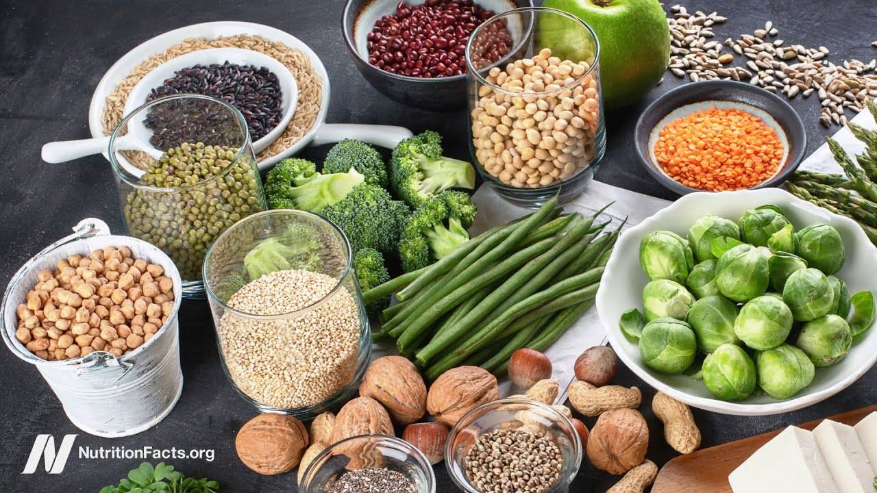 Protecting Kidney Health with a Plant-Based Diet: The Benefits of Plant Protein