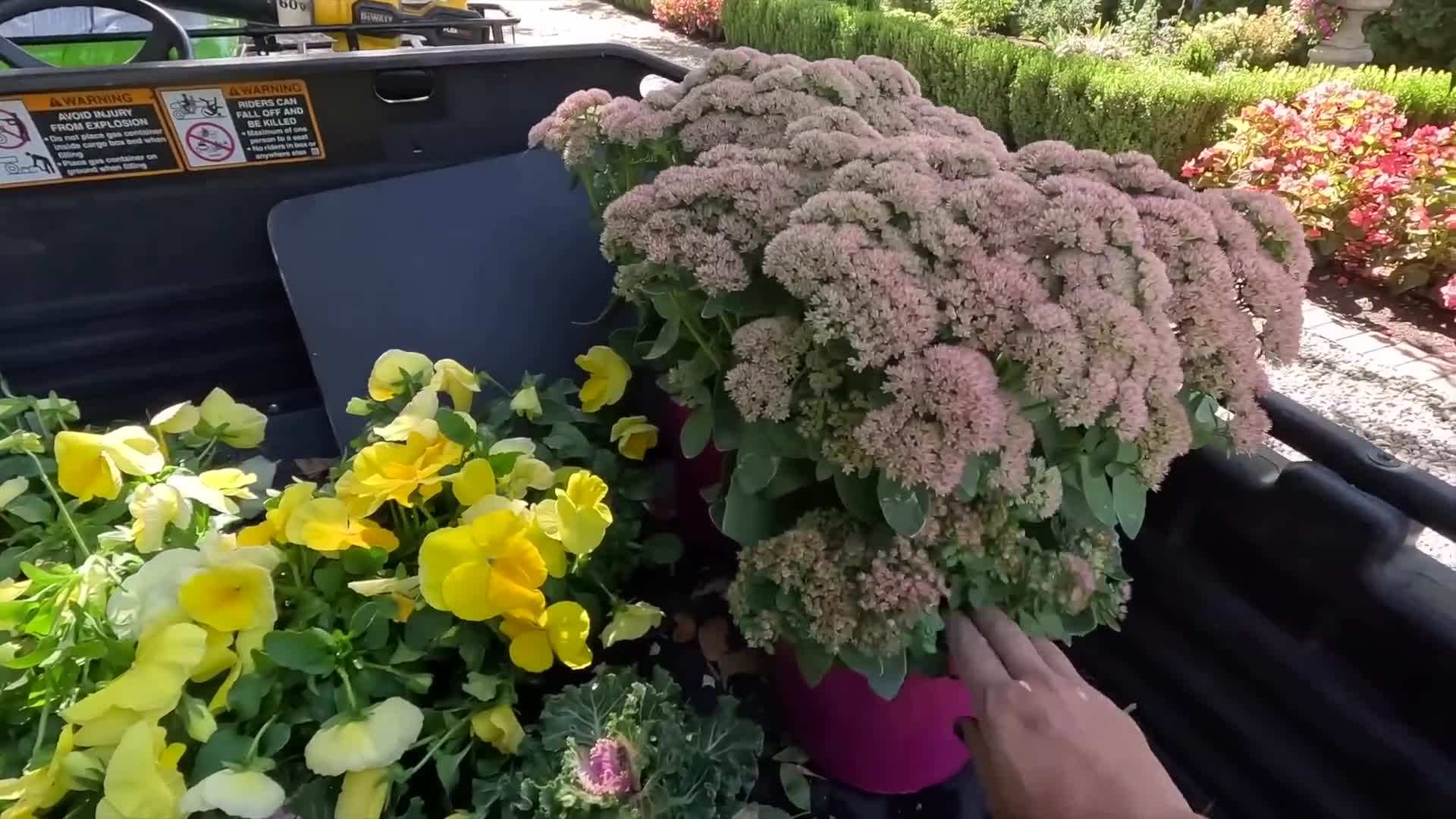 A close-up of a ceramic fall container with embossed design