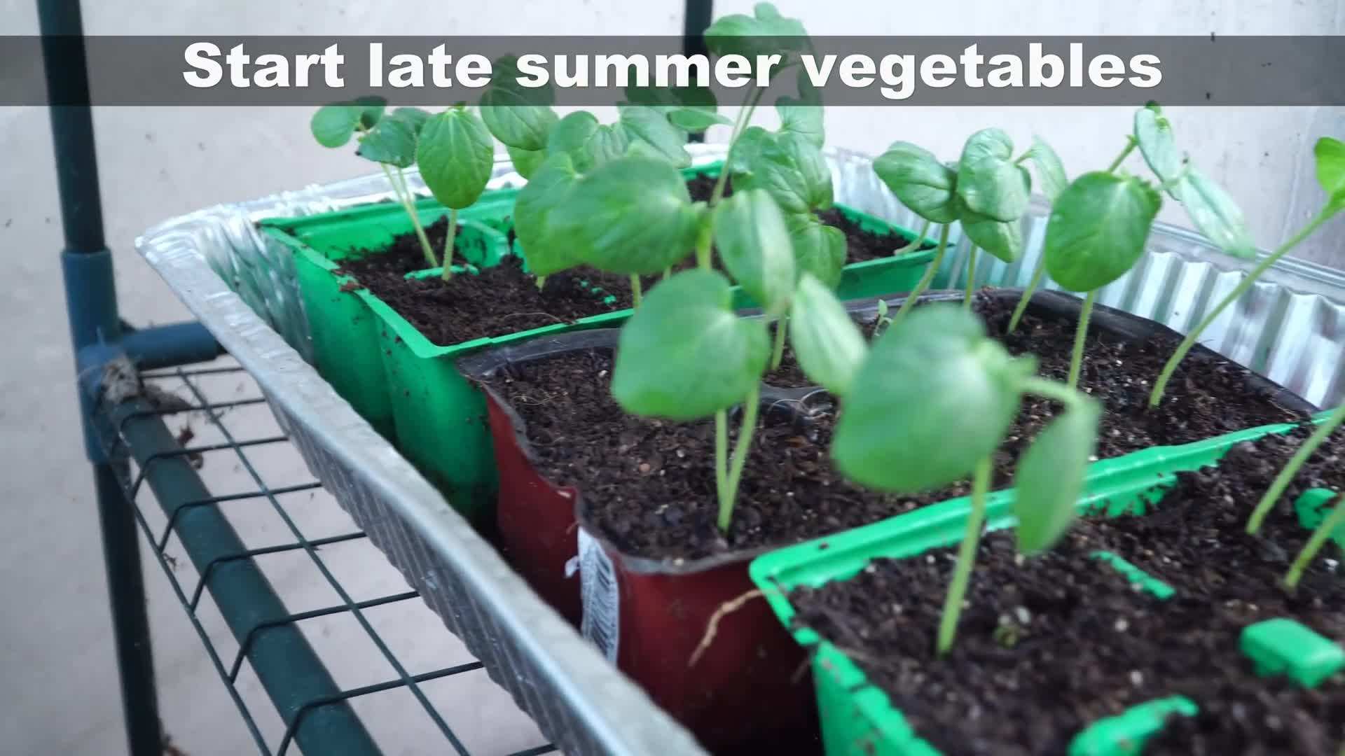 Planting a variety of spring vegetables