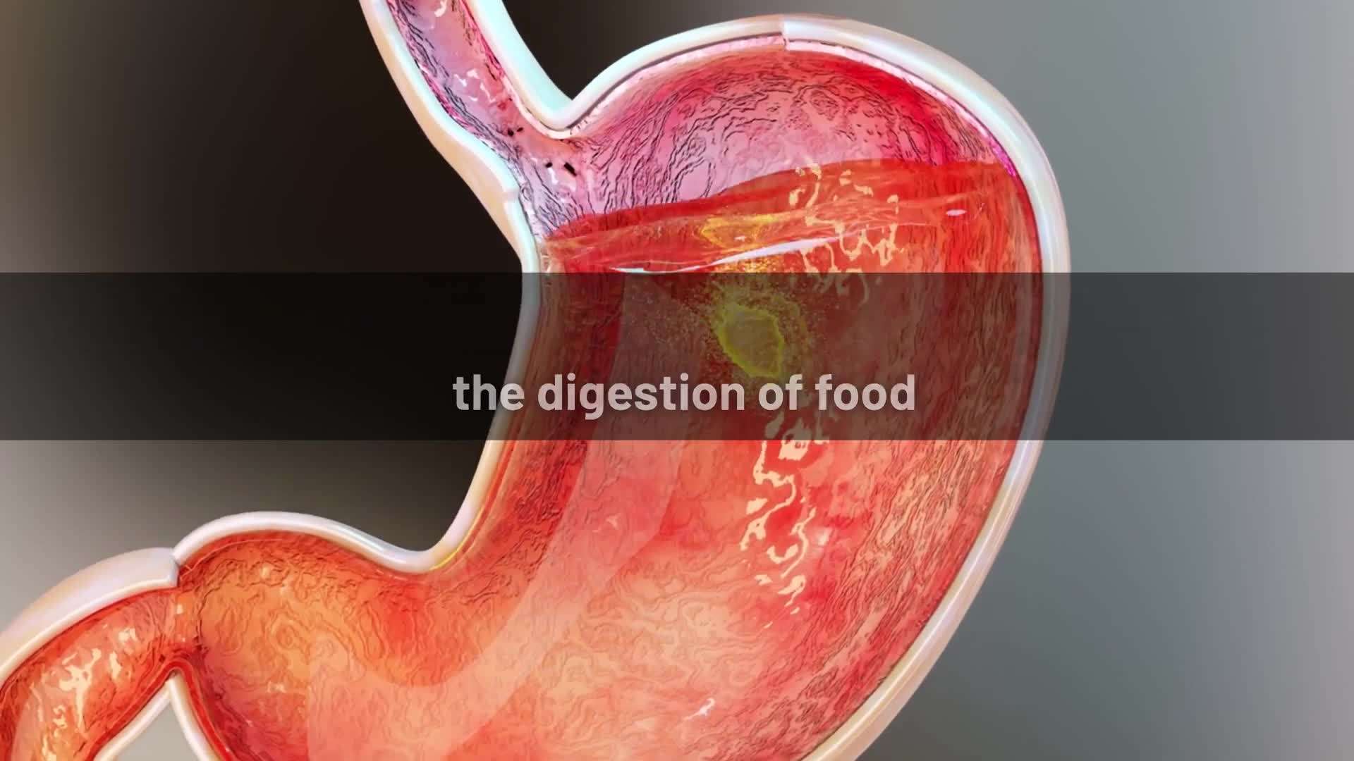 Chia Seeds and Weight Loss