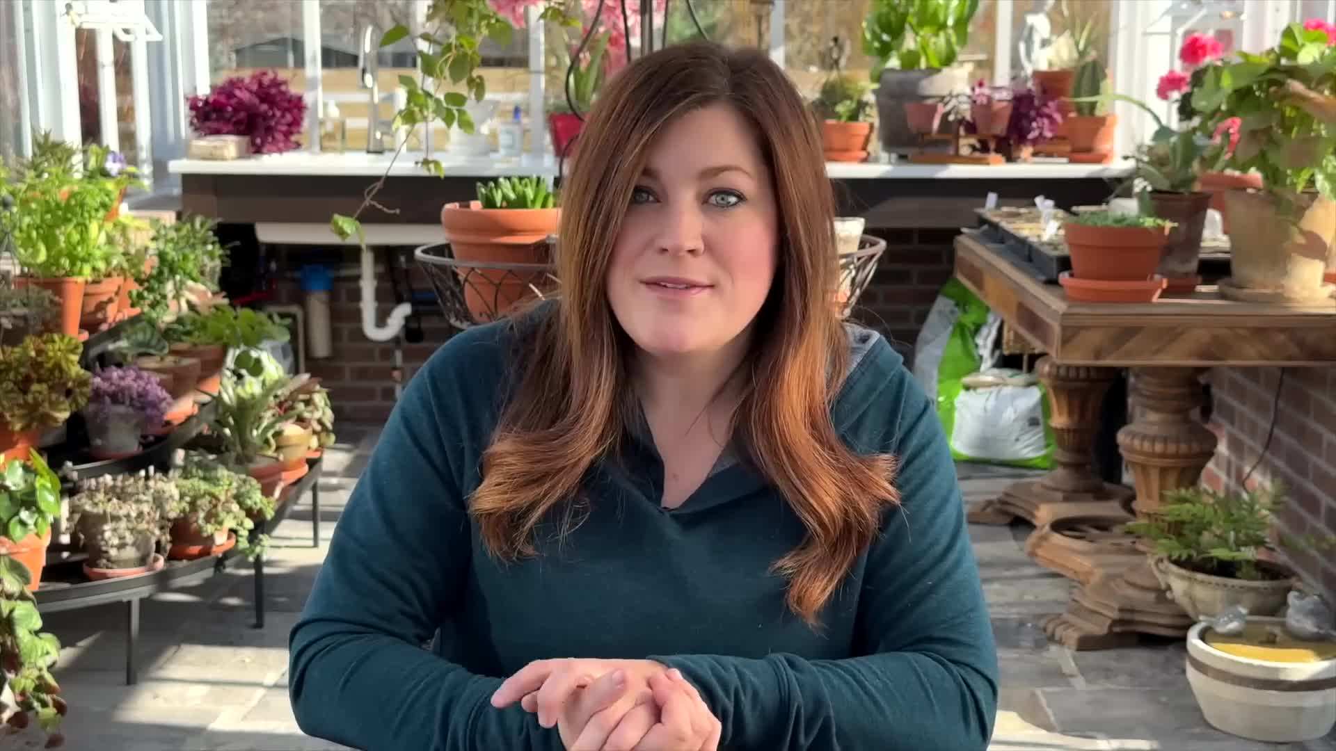 Supertunia Persimmon cascading over the edge of a container