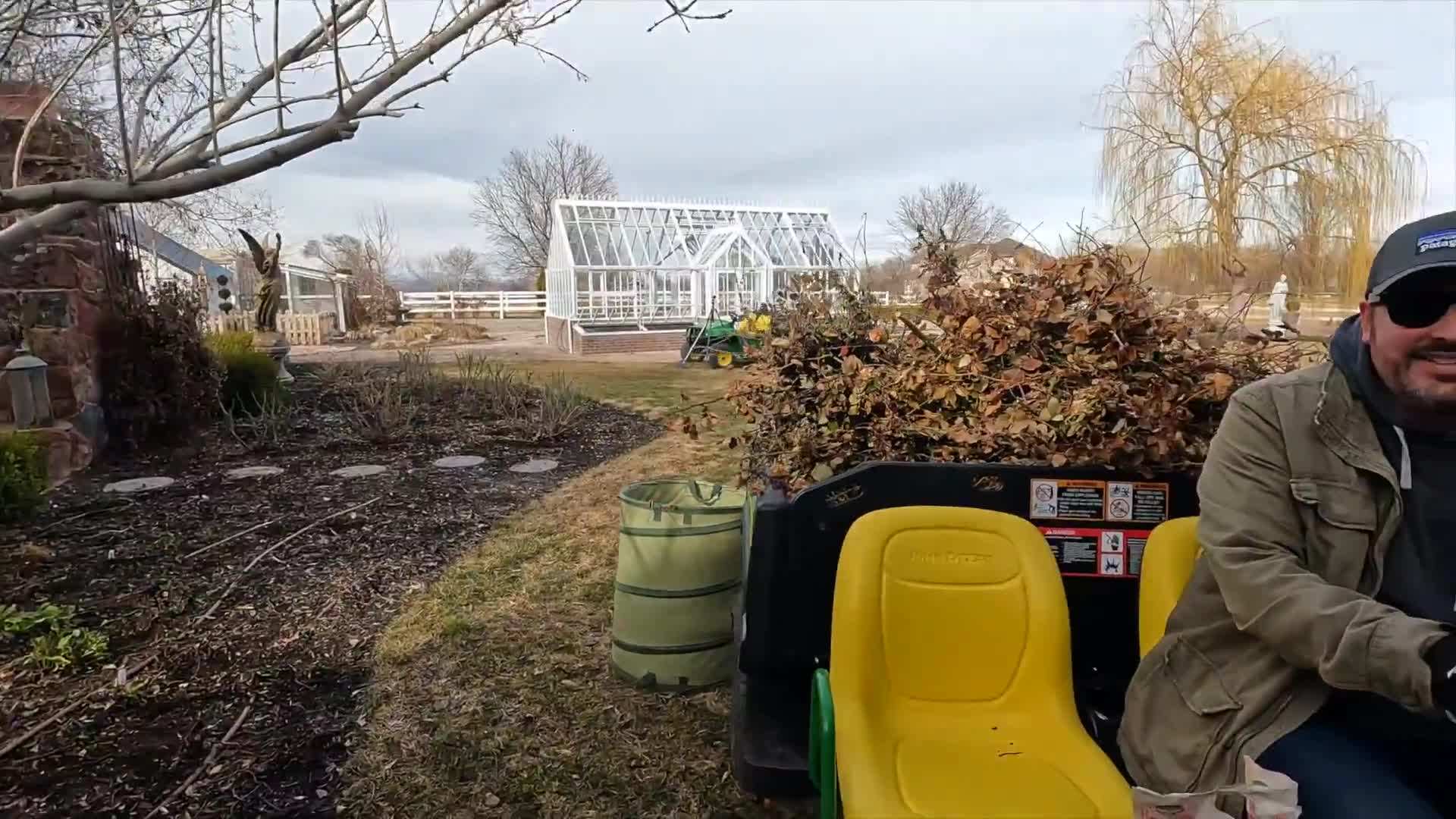 Pruning Panicle Hydrangeas