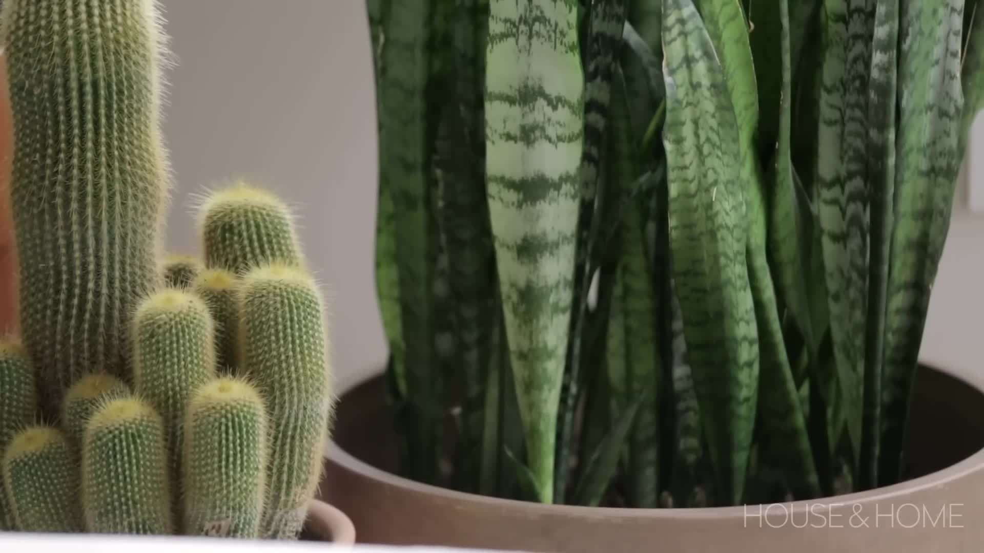 Choosing multi-functional furniture pieces