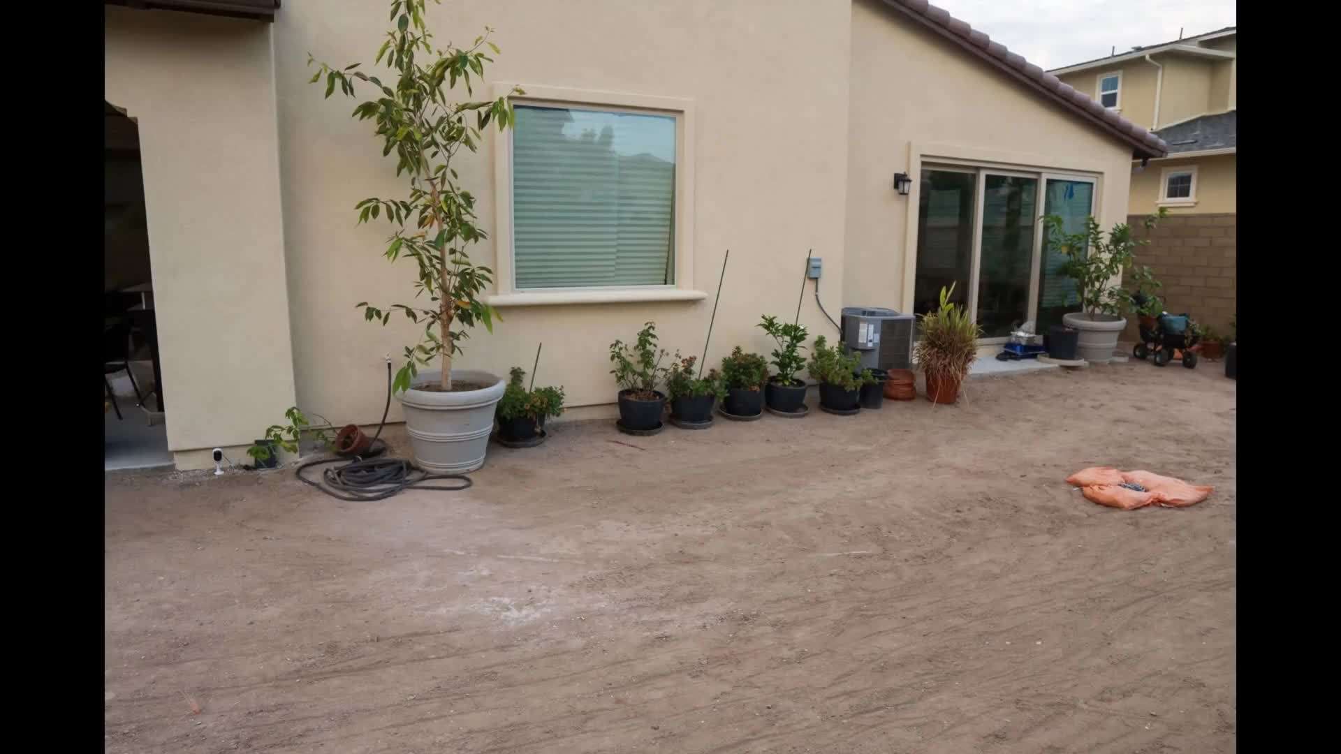 Abundance of Homegrown Vegetables