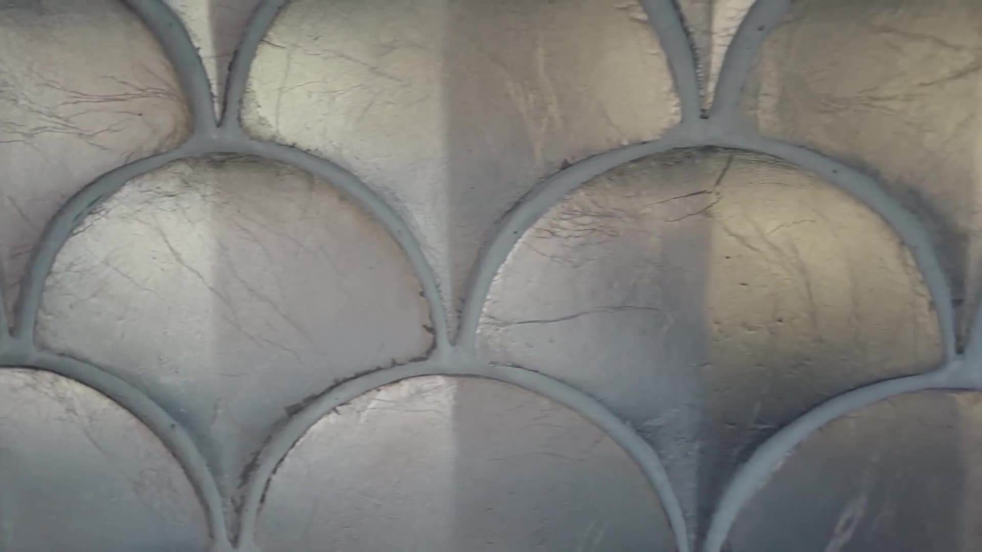 Cozy living room with warm colors