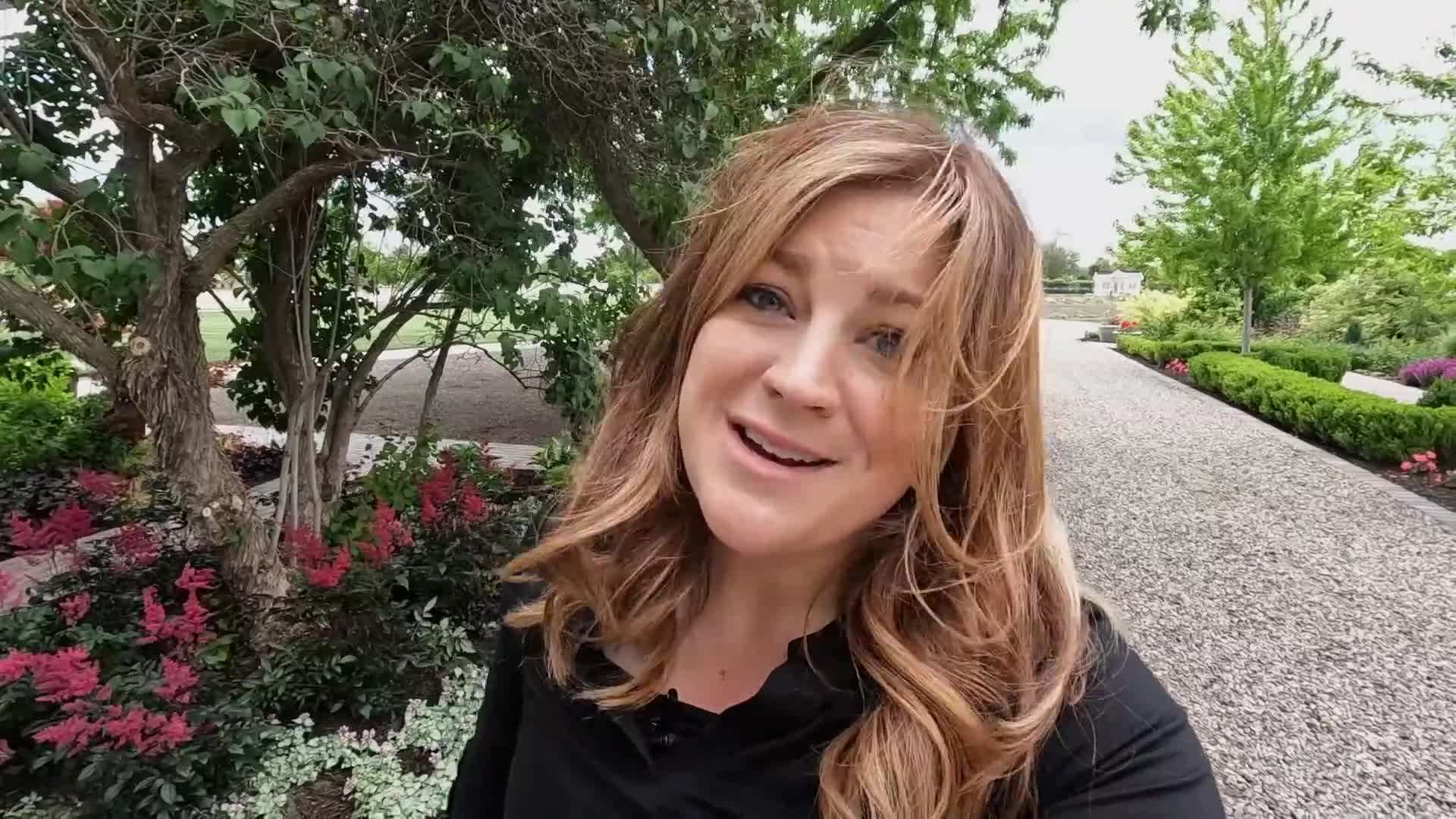 Watering and Mulching Your Pink Perennials