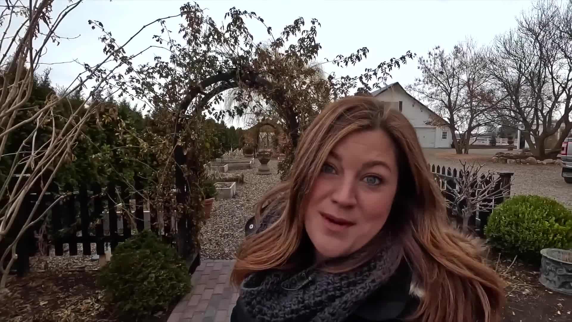 Pruning climbing roses promotes new growth and more blooms