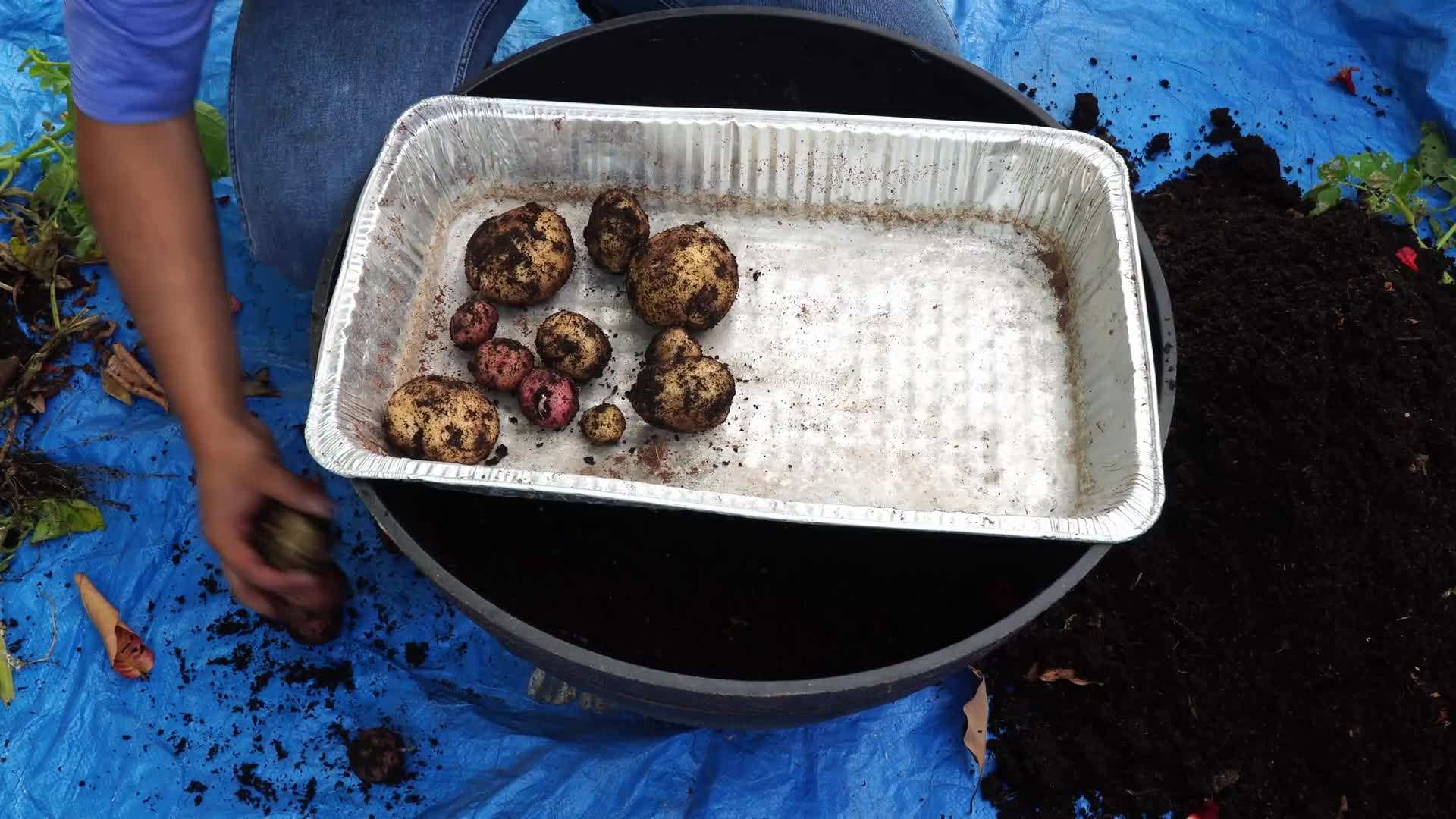 Plastic container with drainage holes