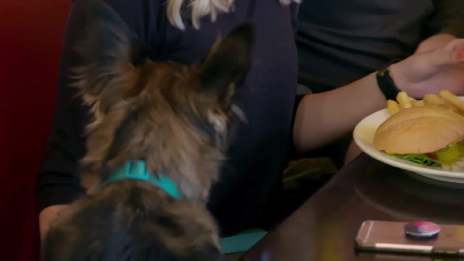 Gordon as Drew - a laid-back surfer dude