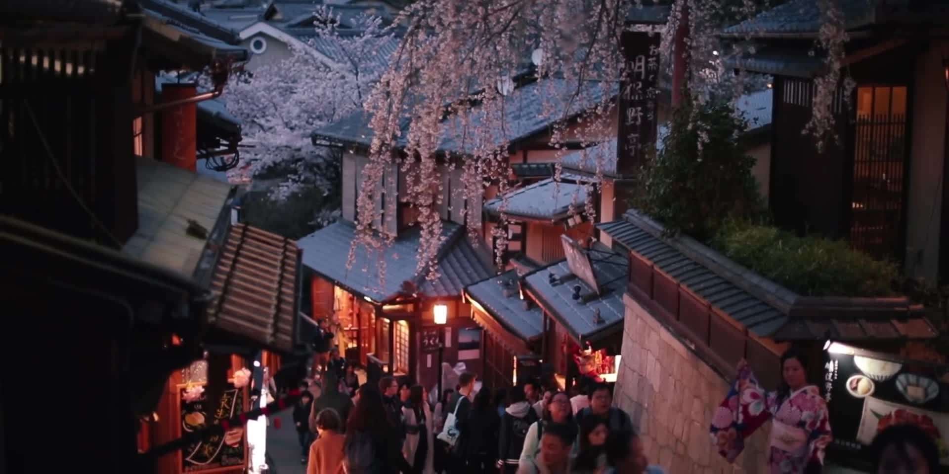 Tsukiji Fish Market - A culinary paradise