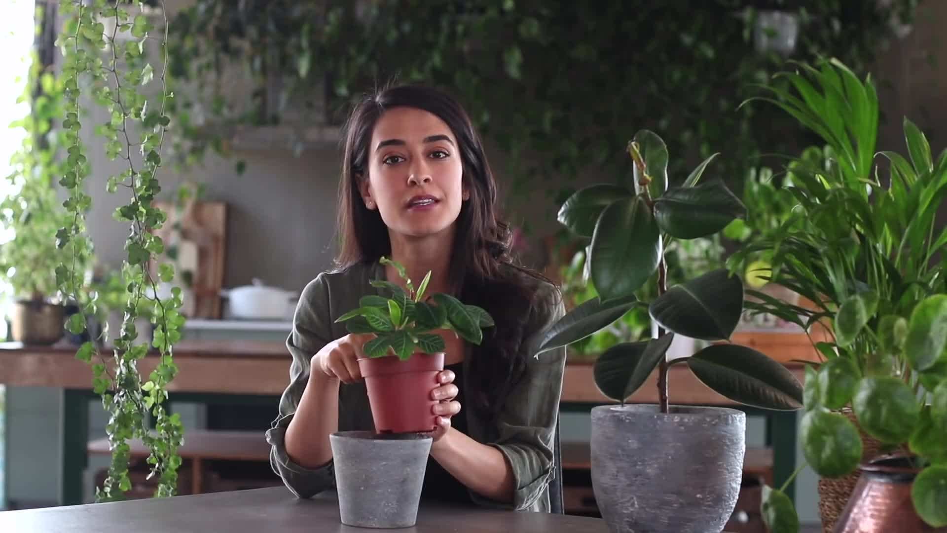 Well-Draining Soil Mix