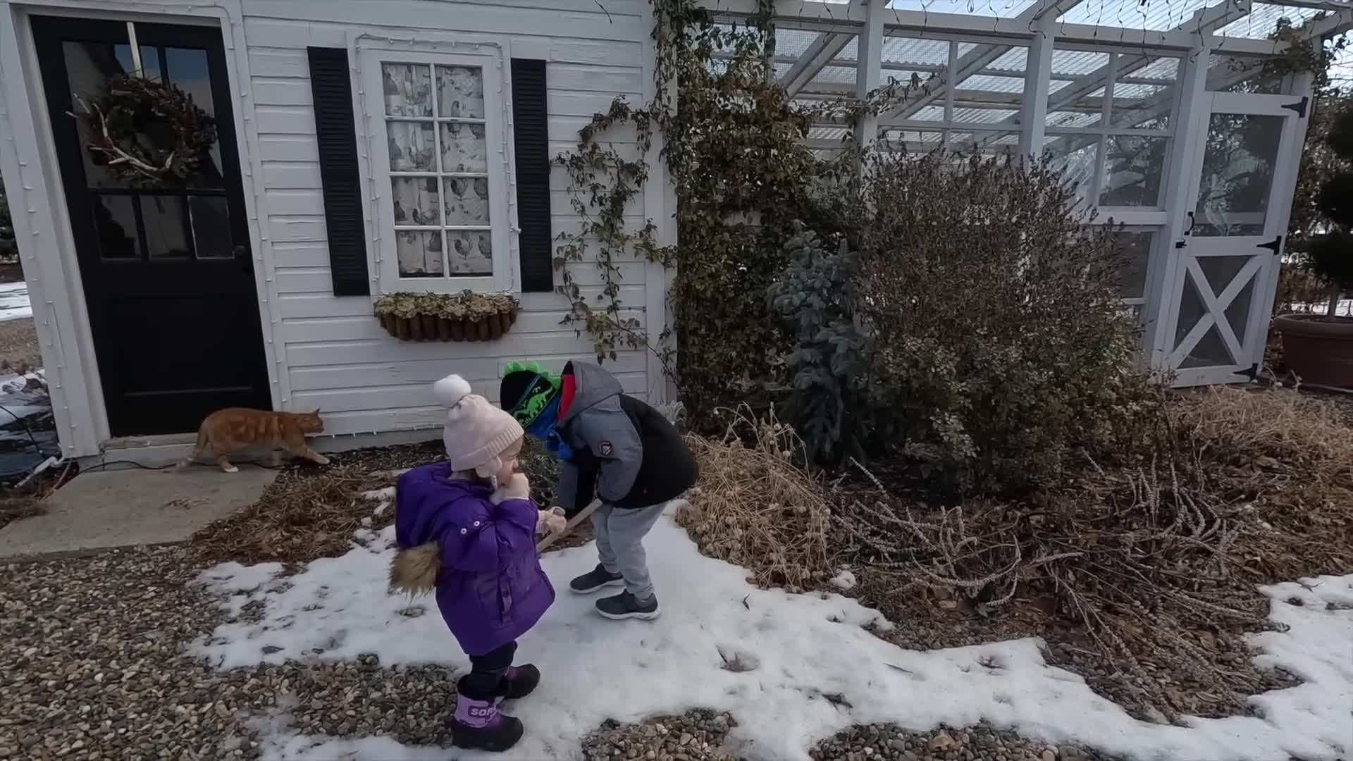 Garden Answer demonstrating the process of removing annual plants