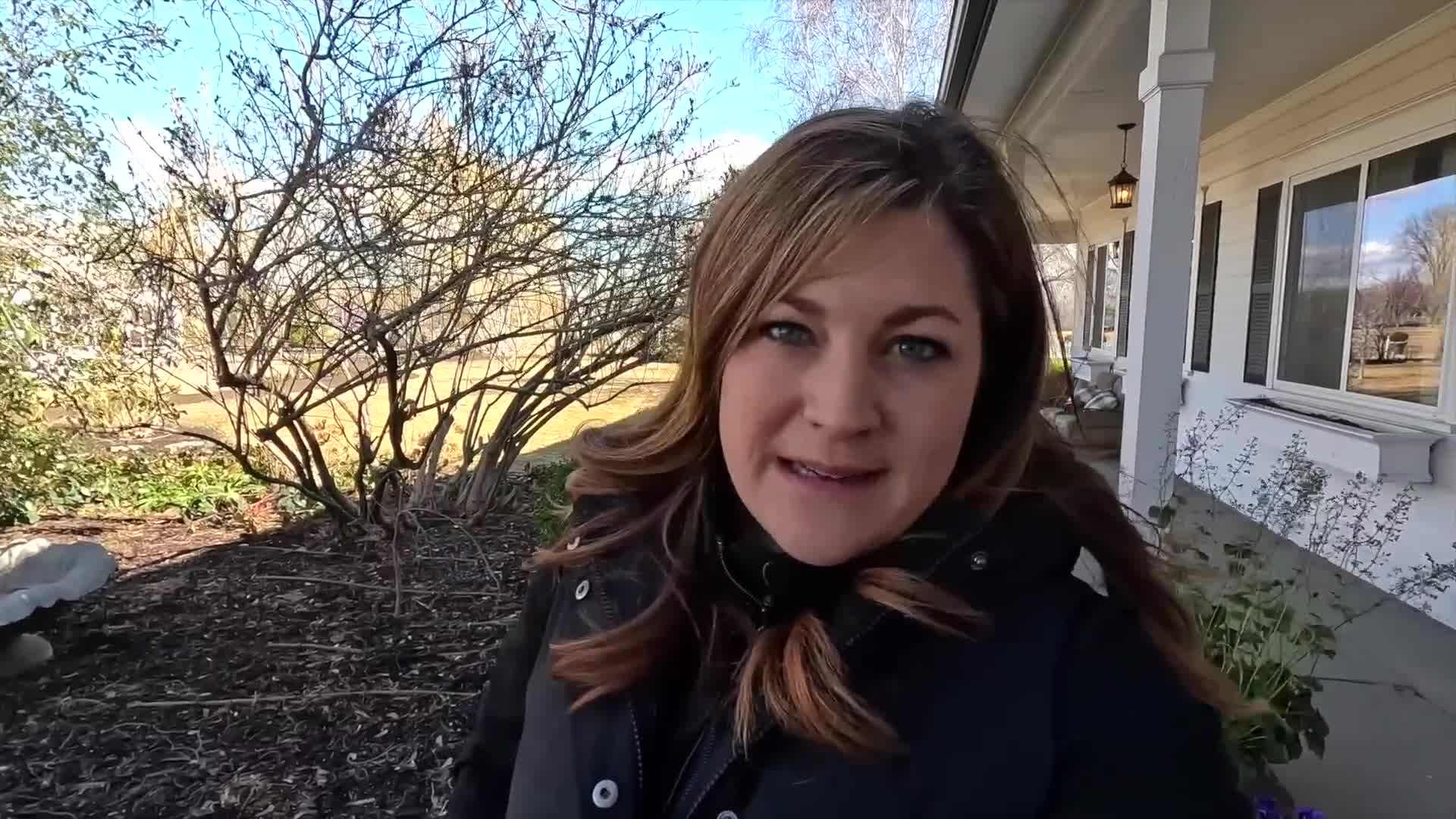 Colorful plants for spring containers