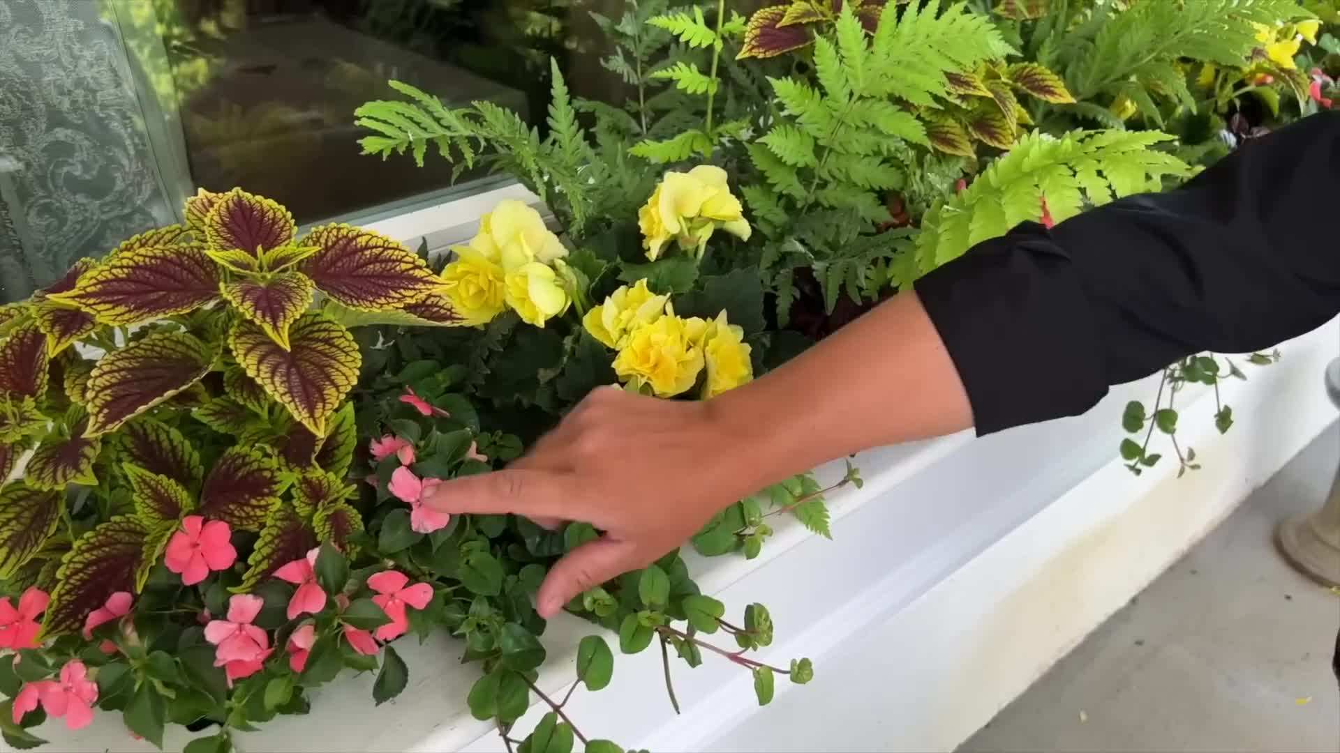 A thriller, filler, spiller container arrangement