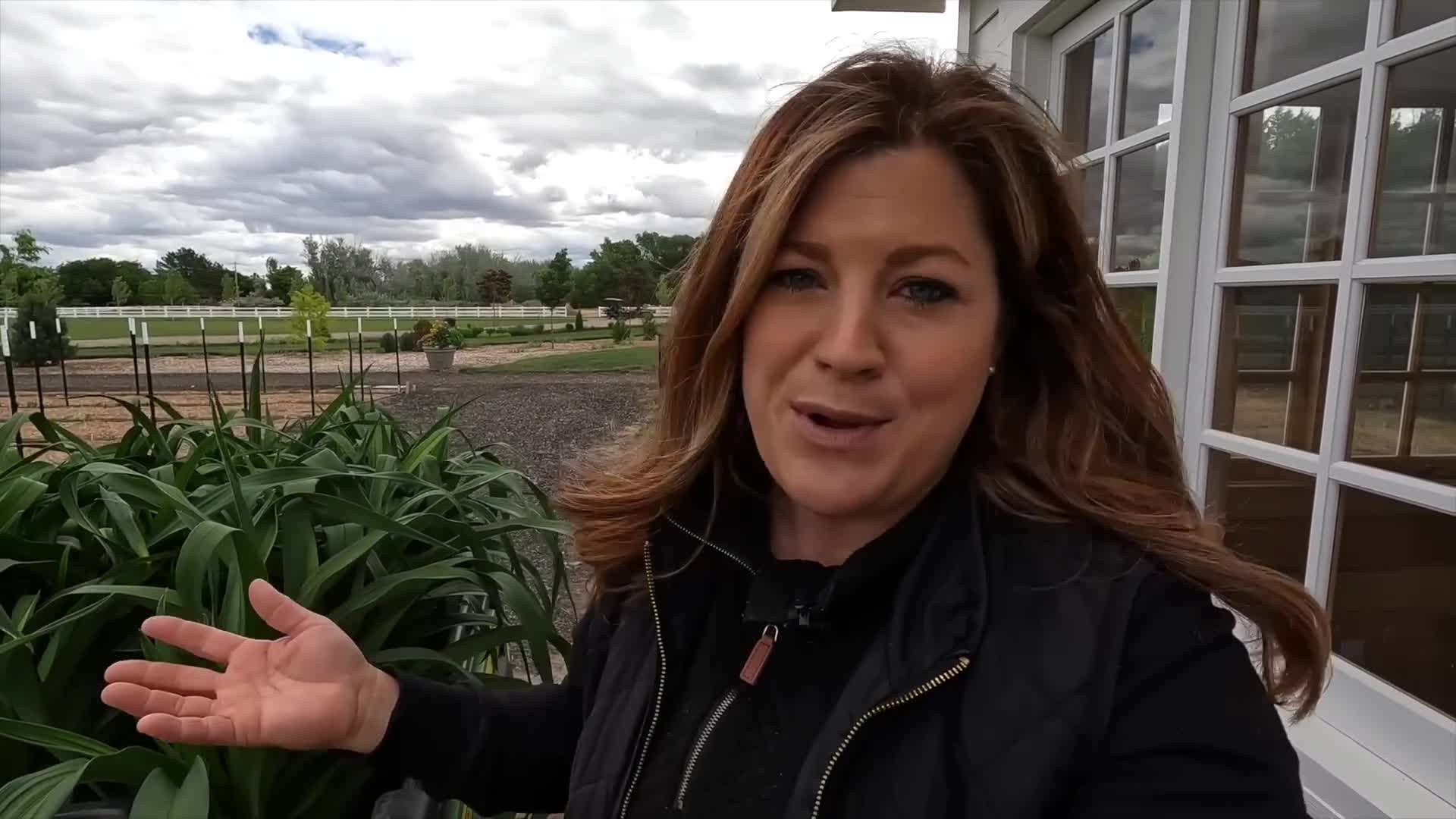 Rainbow Rhythm® 'Sound of My Heart' Daylily