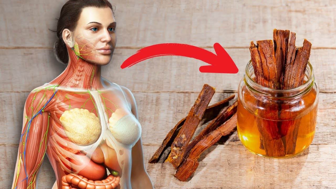 The #1 Tea Every Woman Should Drink: Exploring the Medicinal Properties of Cat's Claw