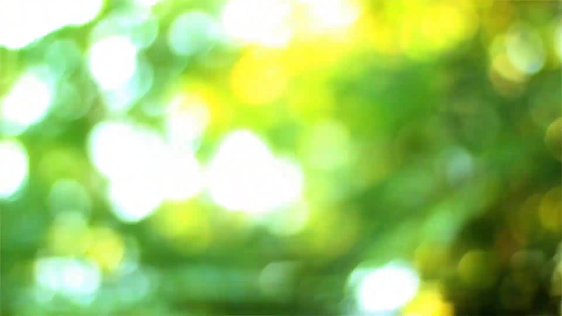 Finished Essene bread loaf