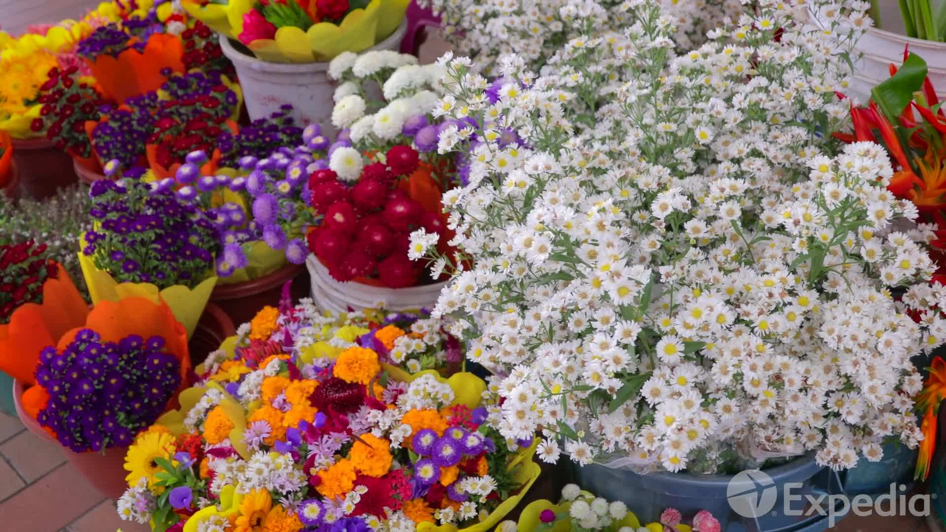 Mount Orohena - A Spectacular Viewpoint