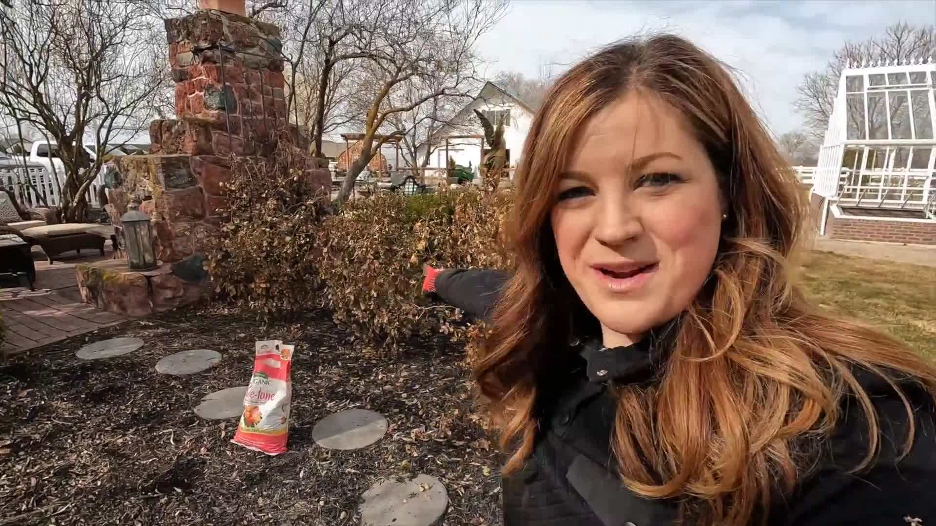 Removing Dead or Damaged Leaves and Stems