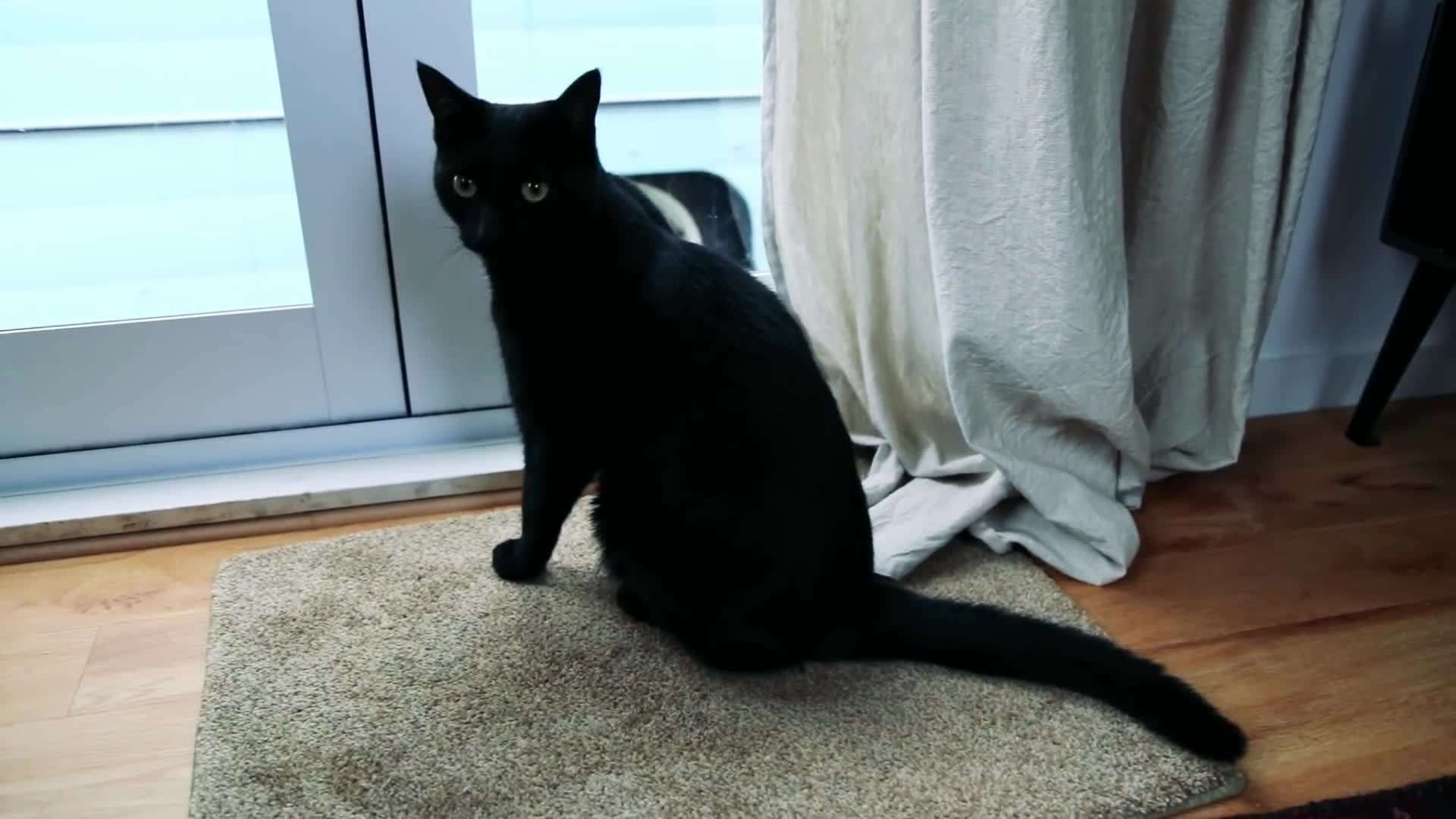 Eco-friendly materials used in the construction