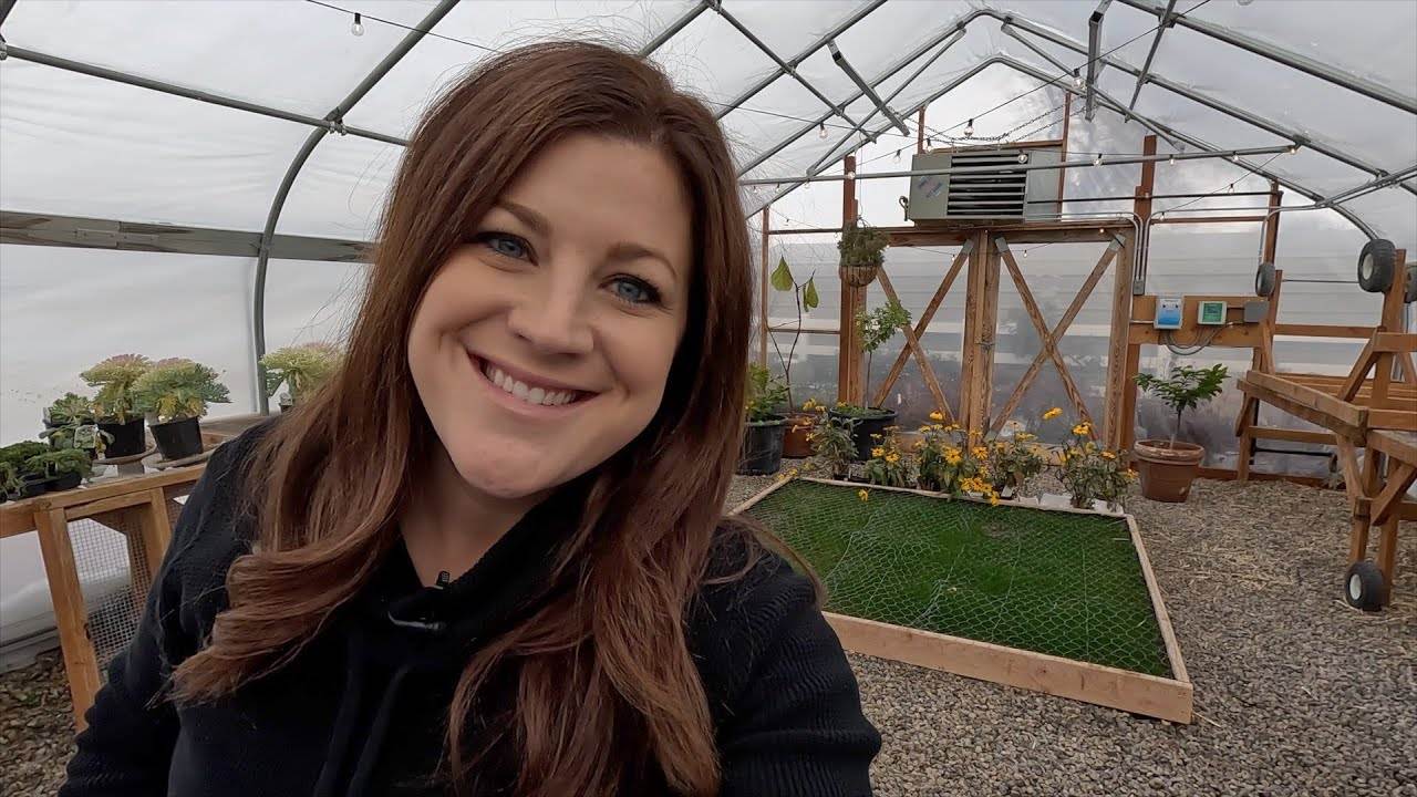 Planting & Growing Lettuce in Winter! 🥬🥬🥬