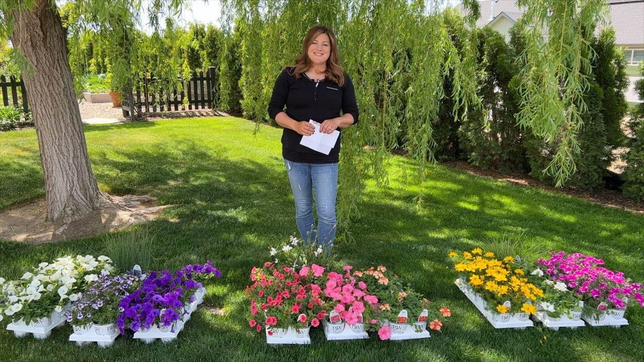 Planting 2023 Container Recipes: A Guide by Garden Answer