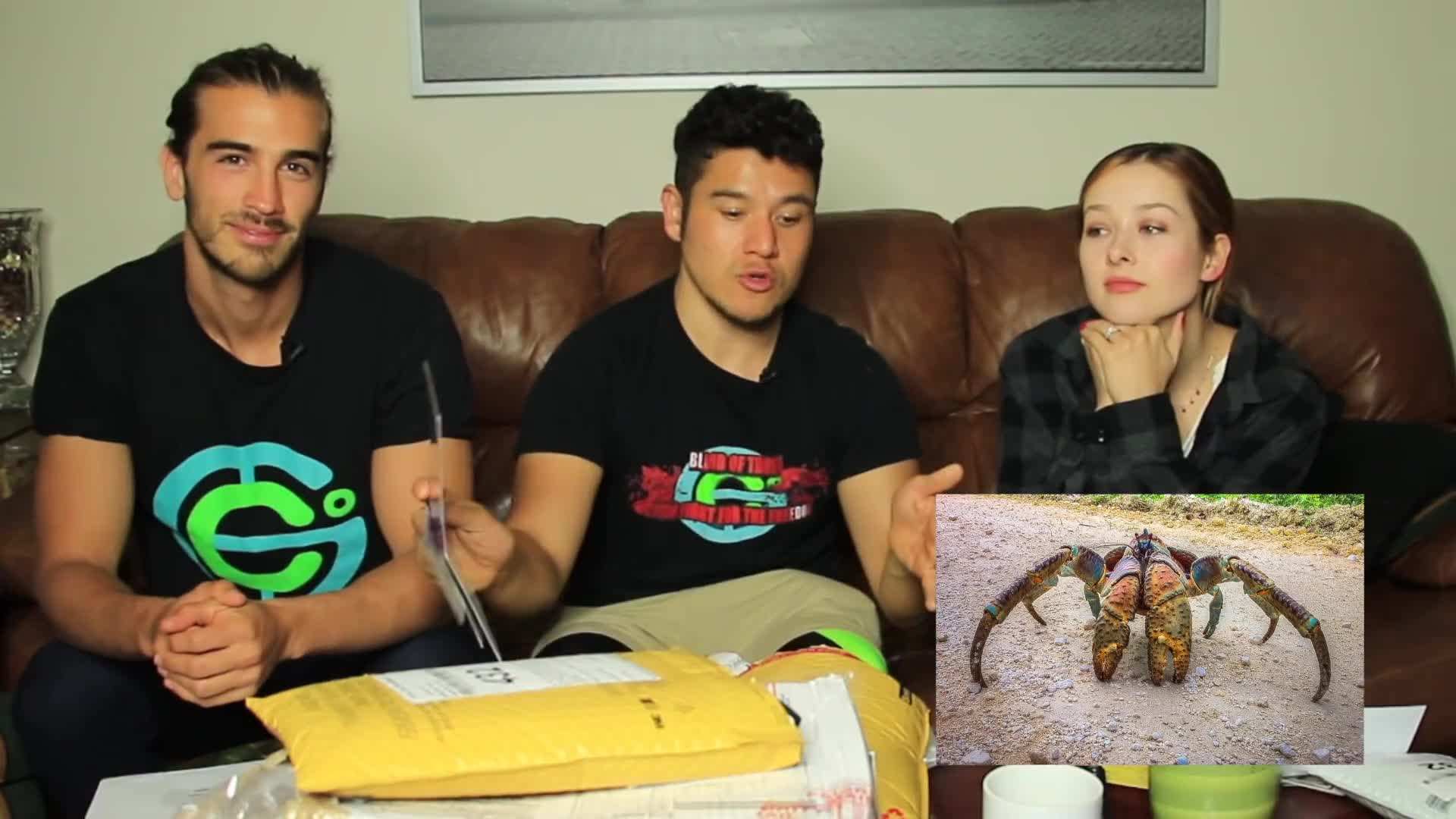 Mirissa Beach - Relax on the golden shores and spot whales