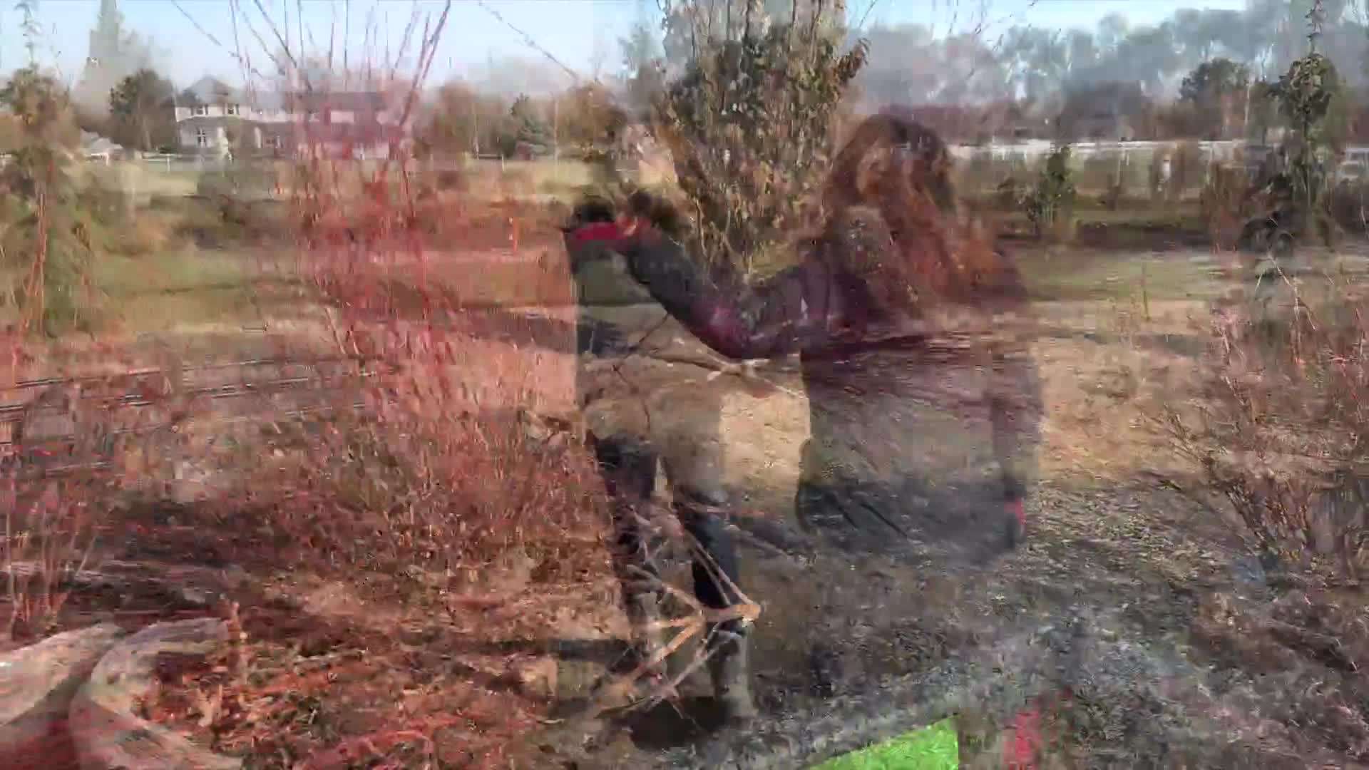 Festive accents like ornaments and ribbon bows