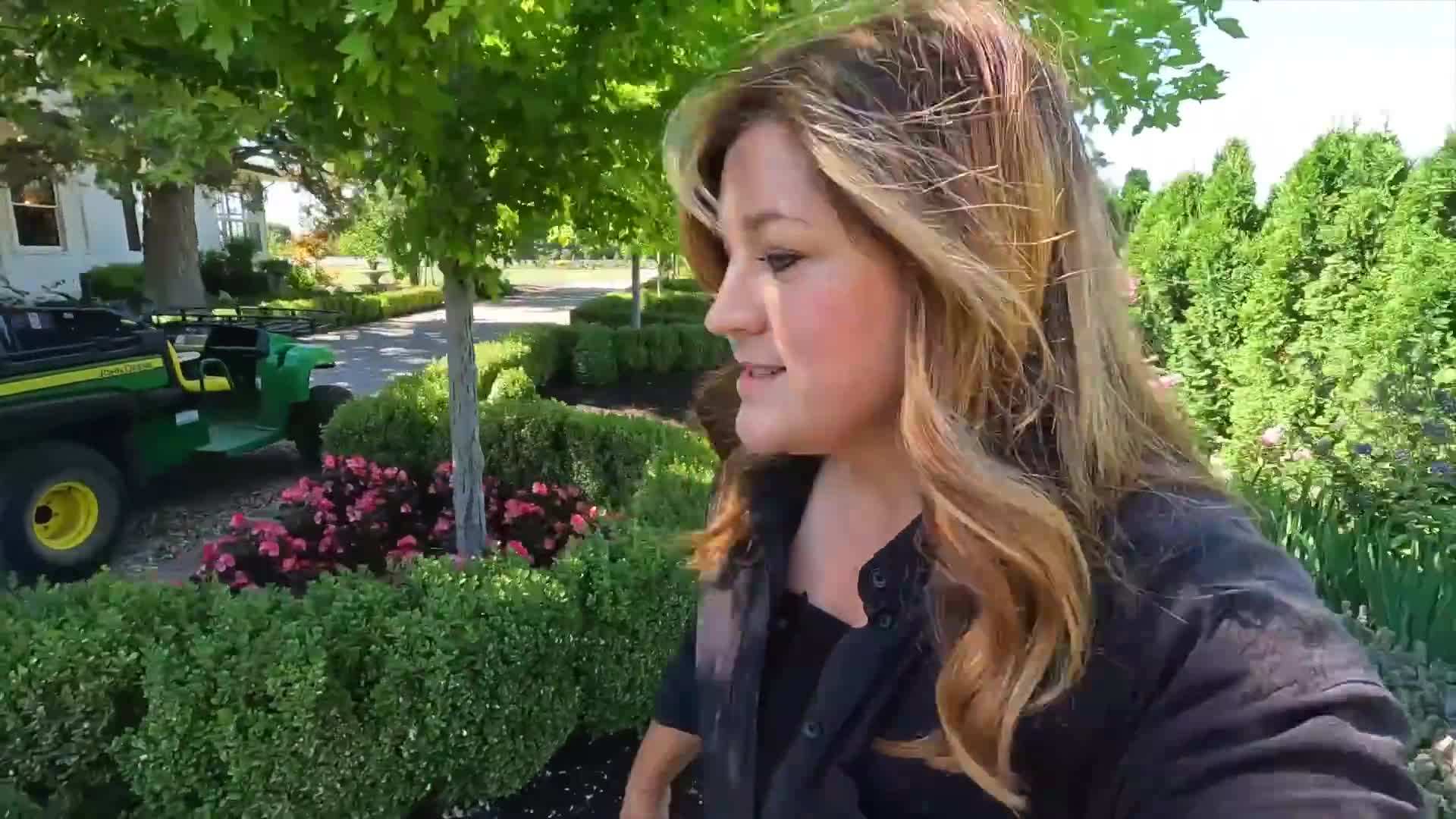 Proper pruning shears for trimming elderberries