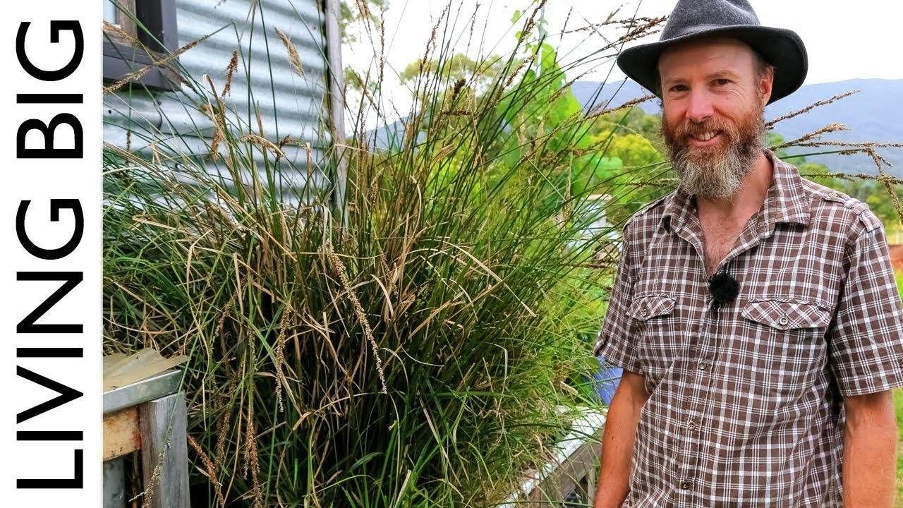 Simple Permaculture-Based Grey-Water Treatment System: A Sustainable Solution for Tiny Homes