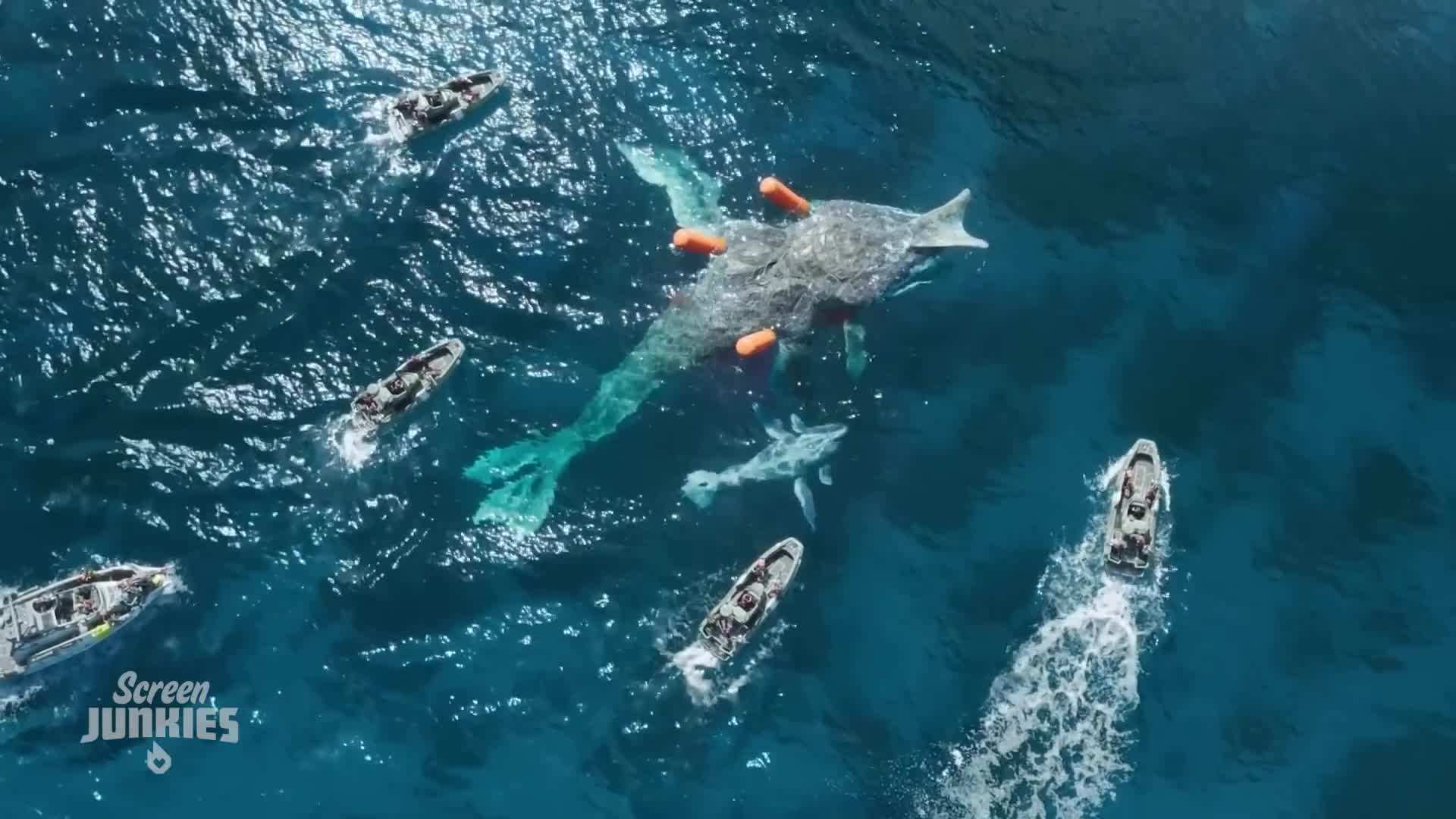 Bioluminescent night scene