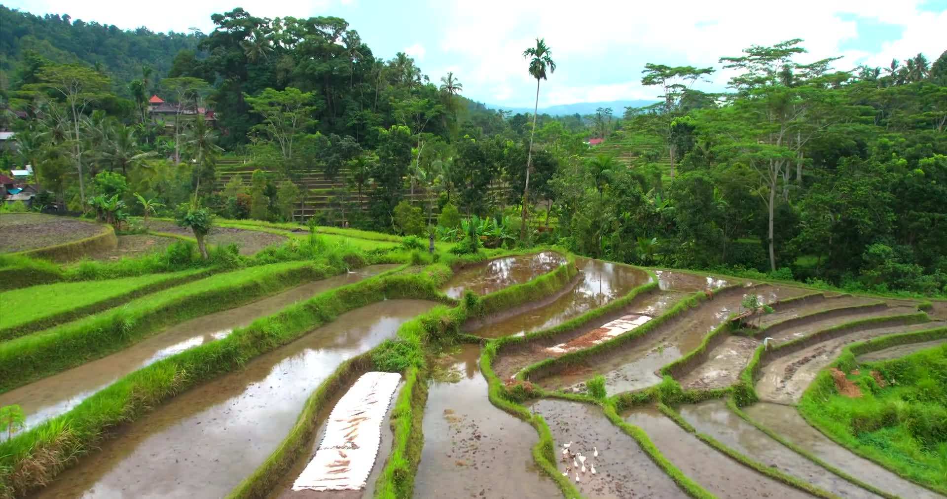 Interior Features of Bamboo Accommodations