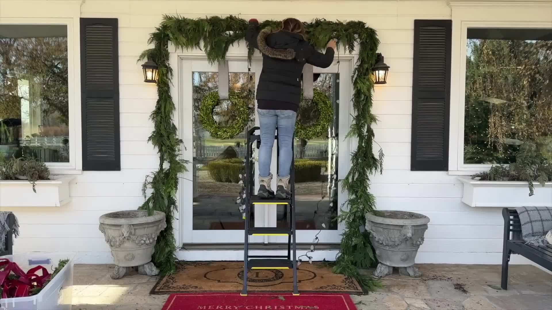 Example of evergreen plants in a windowbox