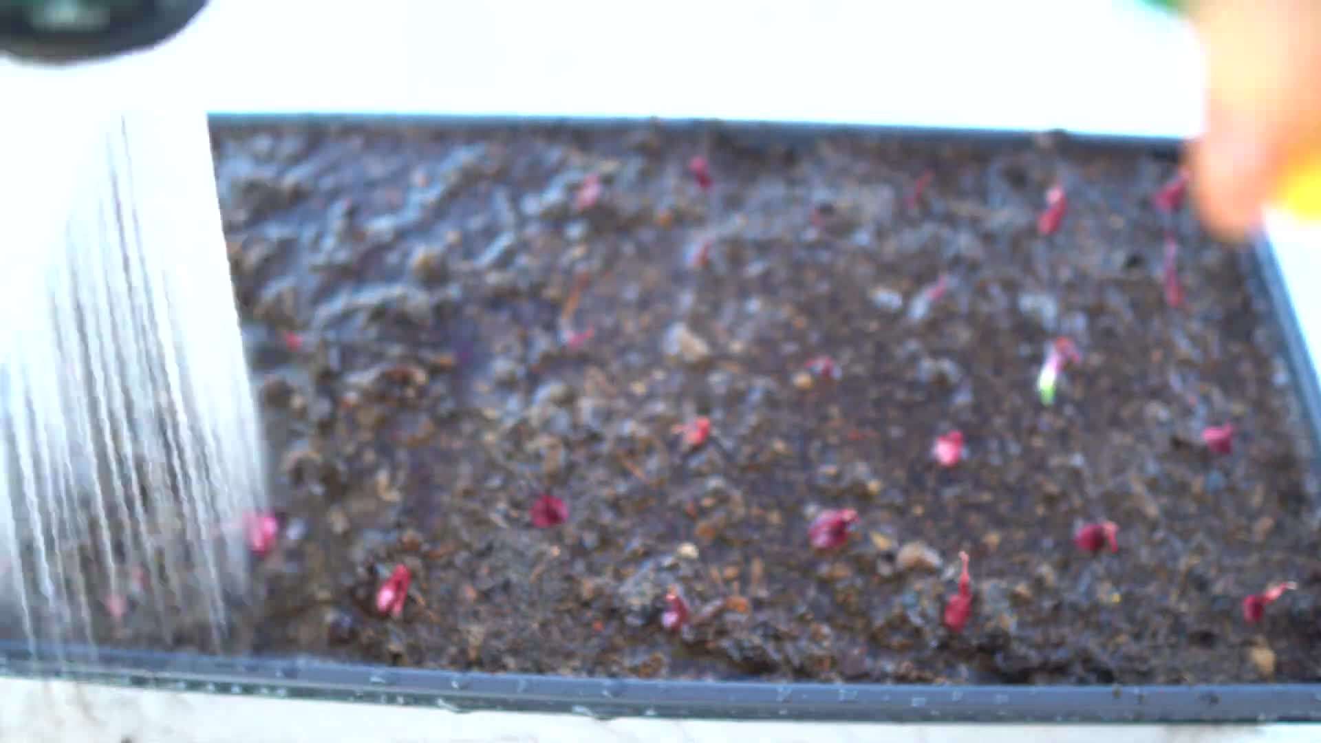 GreenStalk Garden Planter