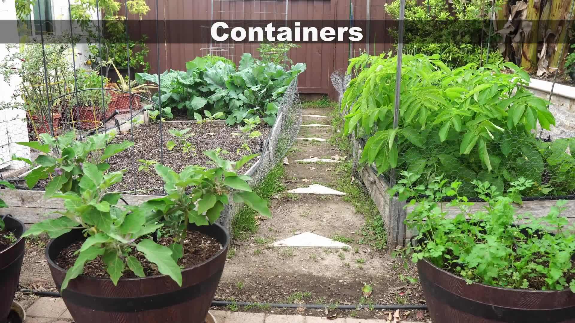 Cleaning up the garden and preparing the soil