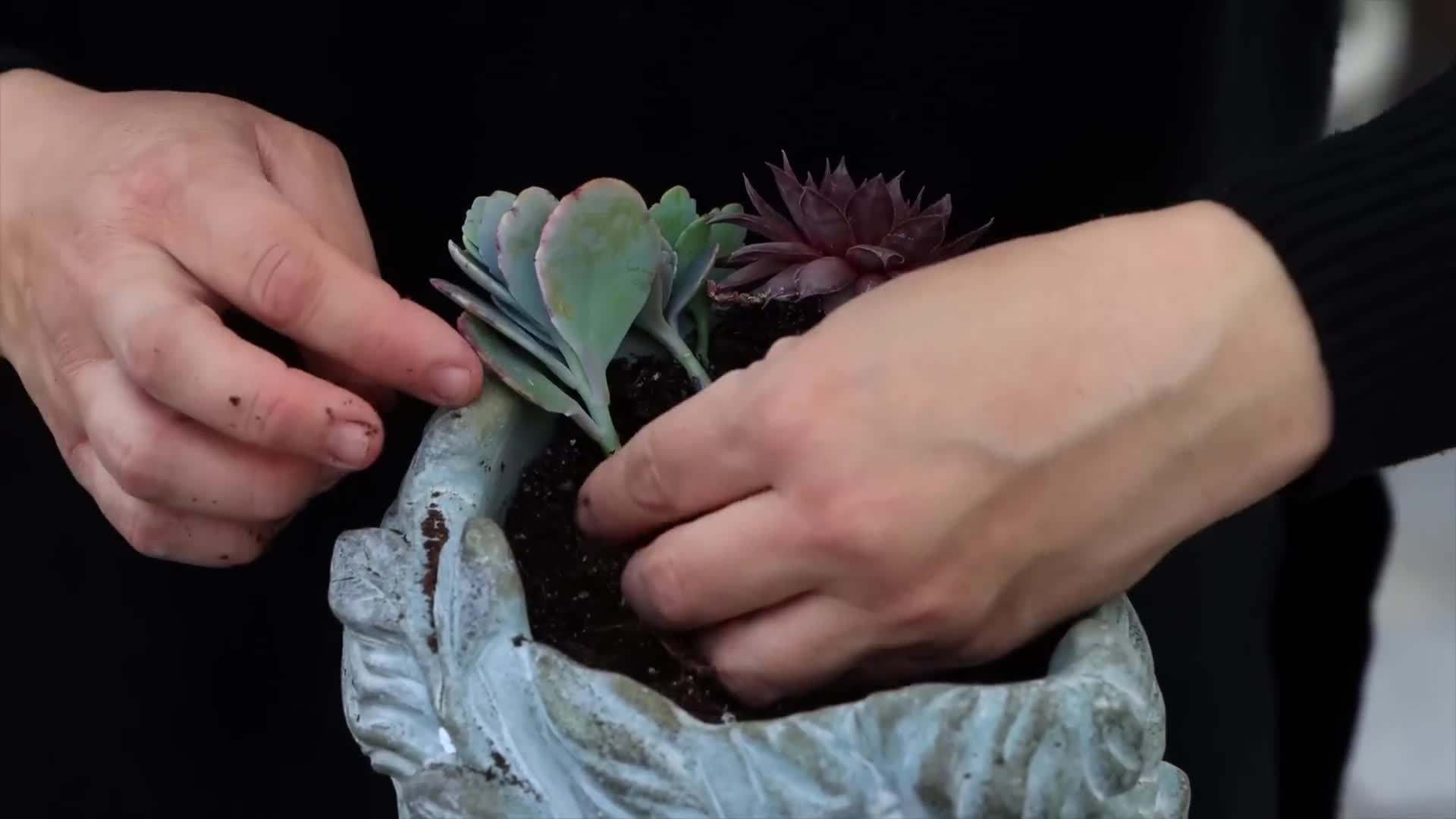 Drilling drainage holes in the head planter