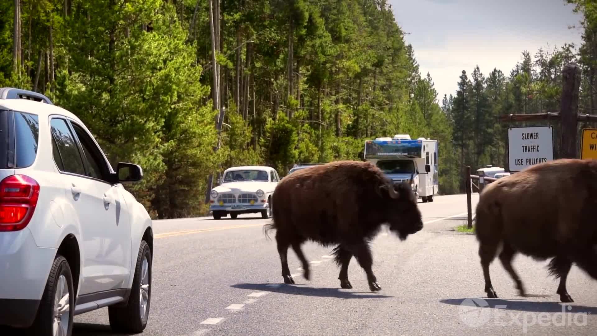 Mesmerizing waterfall at Yellowstone
